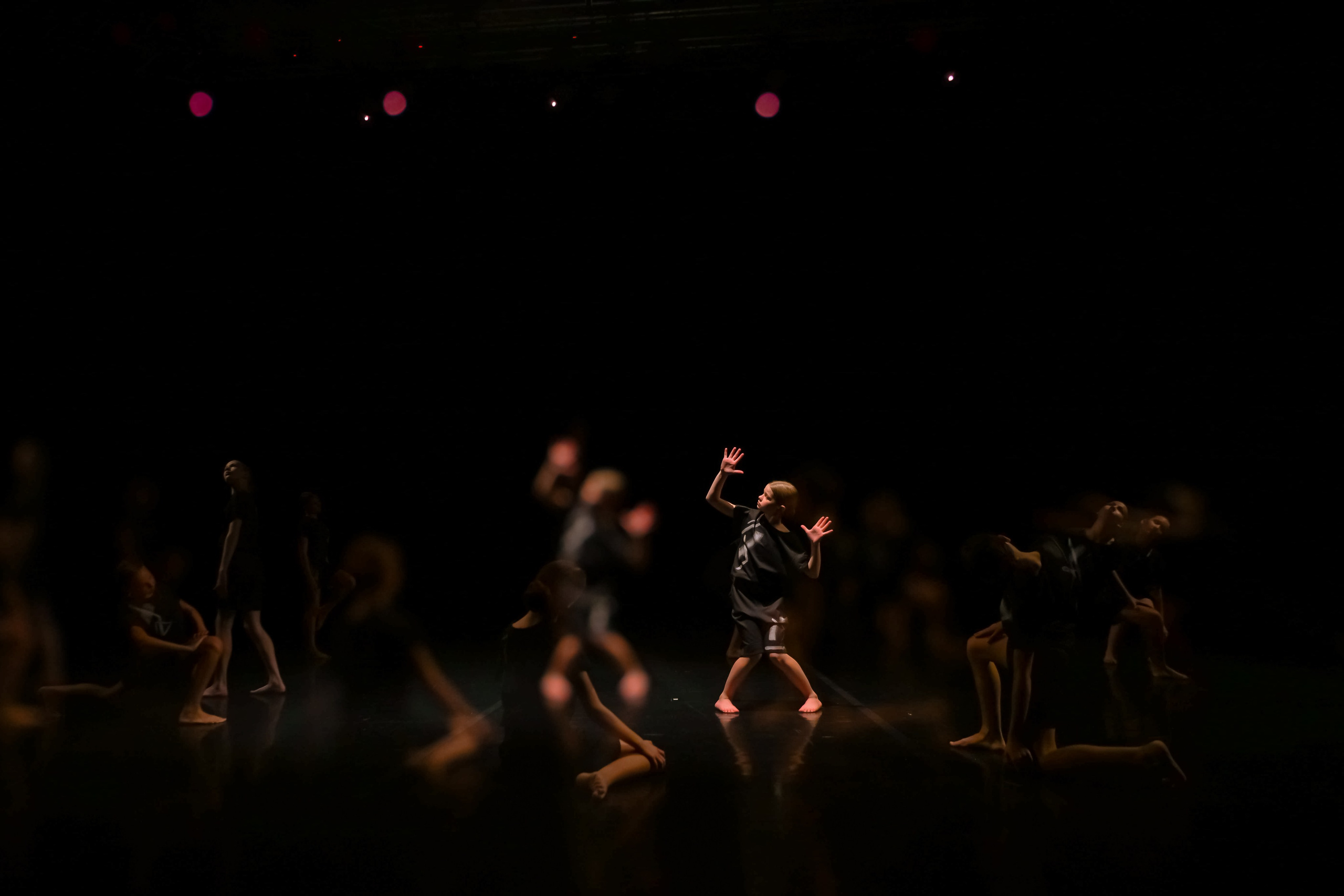 Зодиак. Семейный концерт. Репортажный фотограф в Санкт-Петербурге Алексеева Дарья