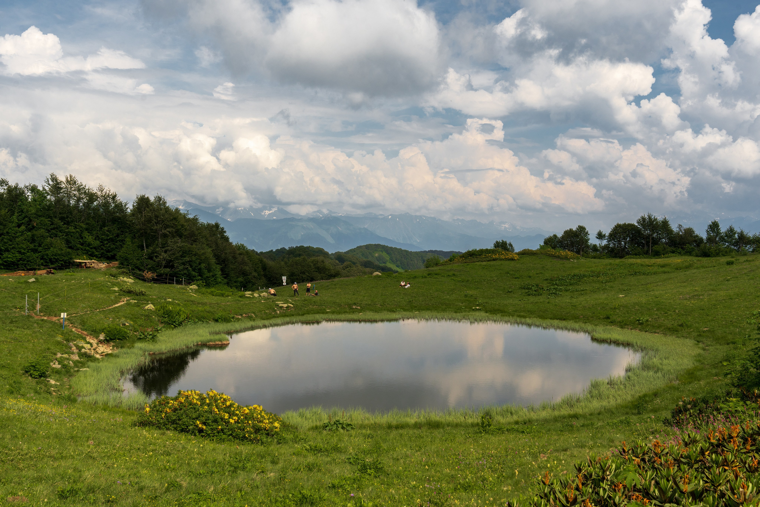 Путешествия и пейзаж. Репортажный фотограф в Красной Поляне и Сочи Павлюченко Екатерина