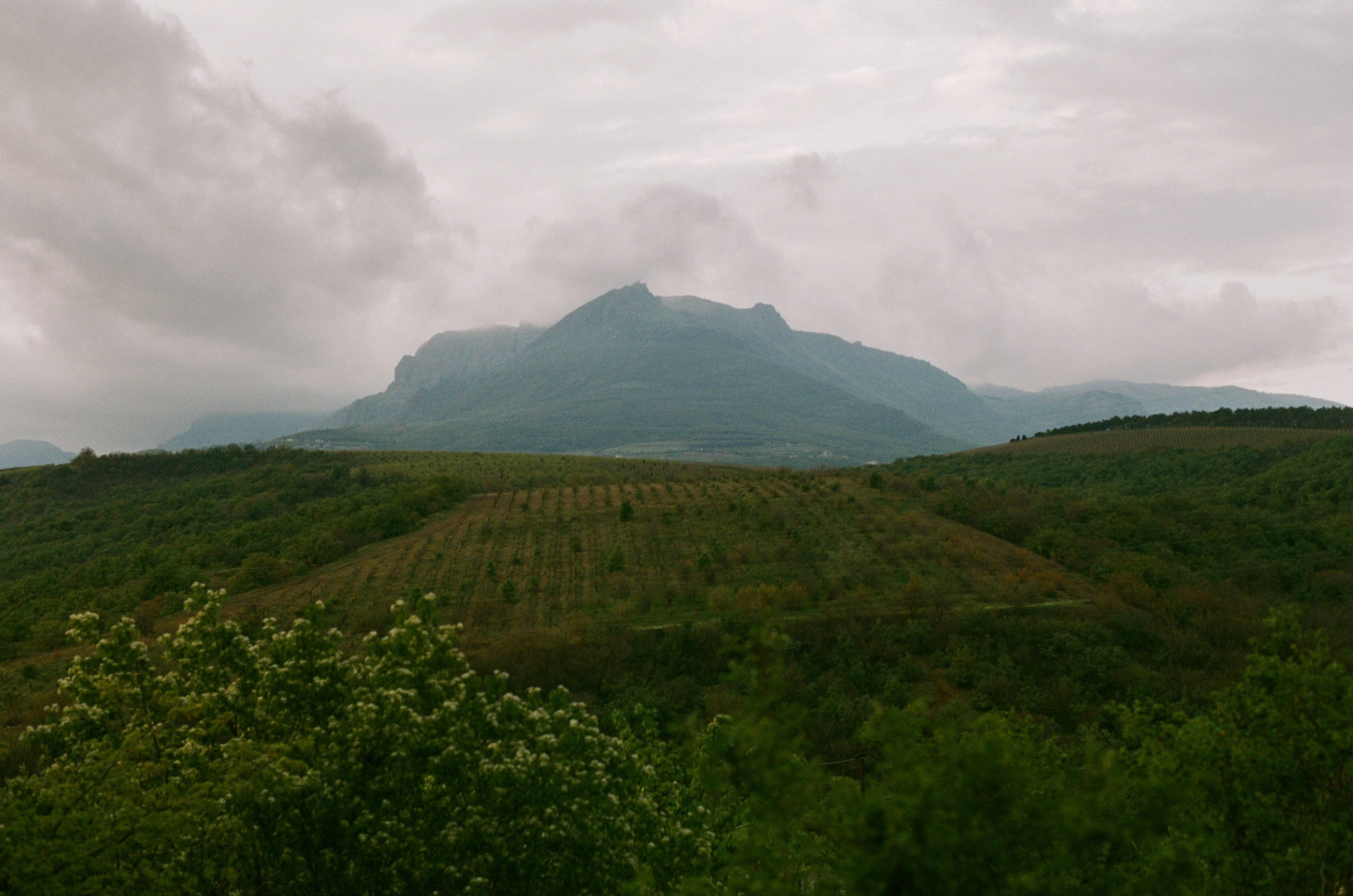 Follow you // ukraine, crimea III. EVER EXPOSED