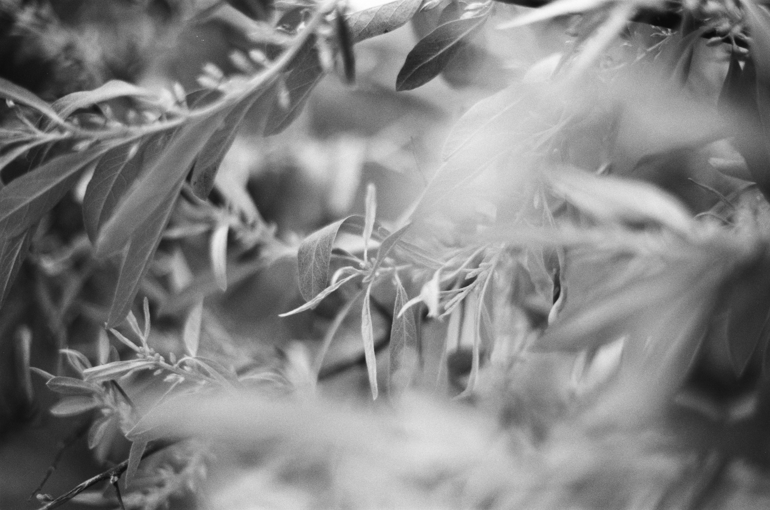 Sparks // ukraine, crimea. EVER EXPOSED