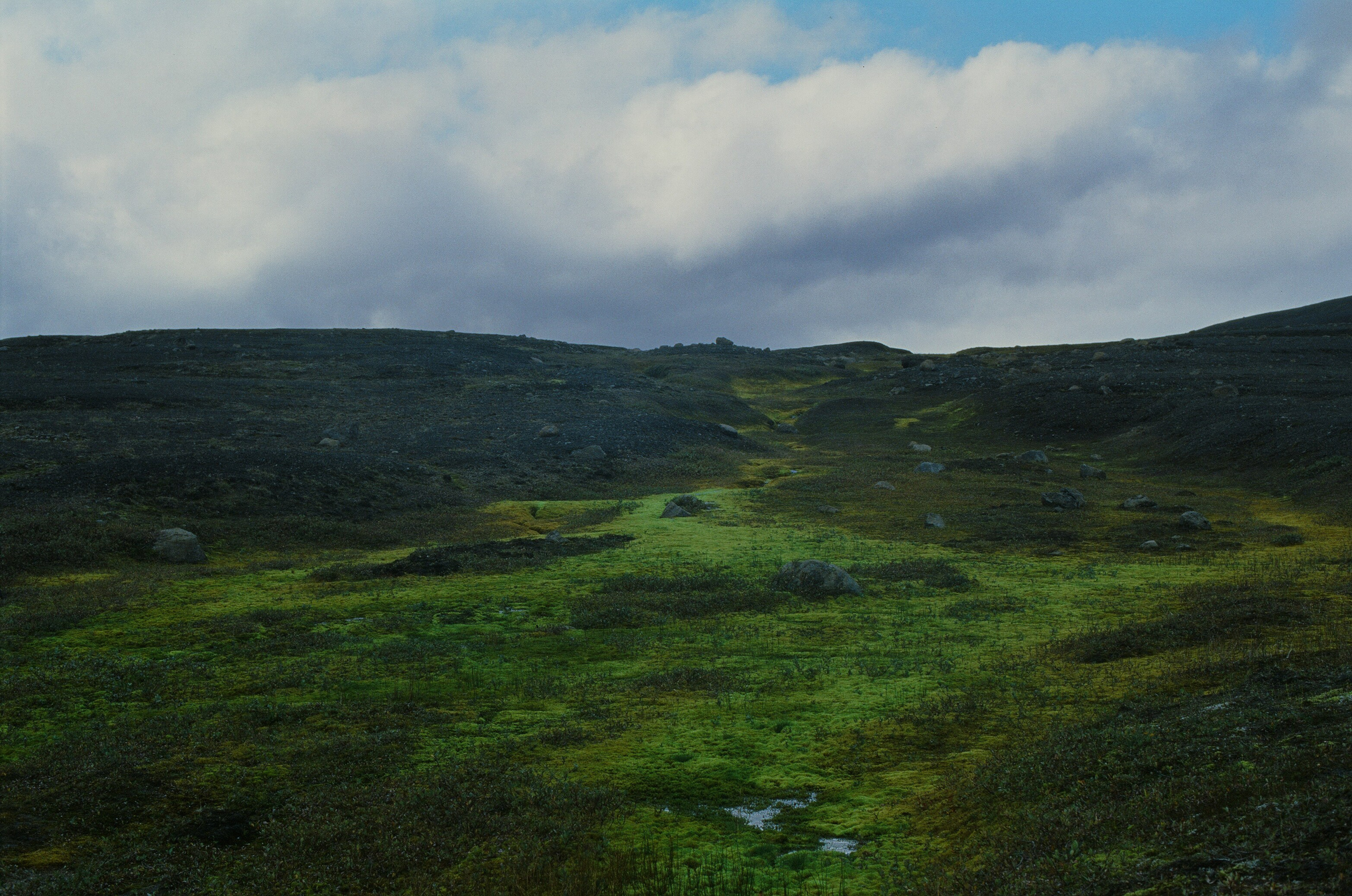 Bloodline // iceland, f907. EVER EXPOSED