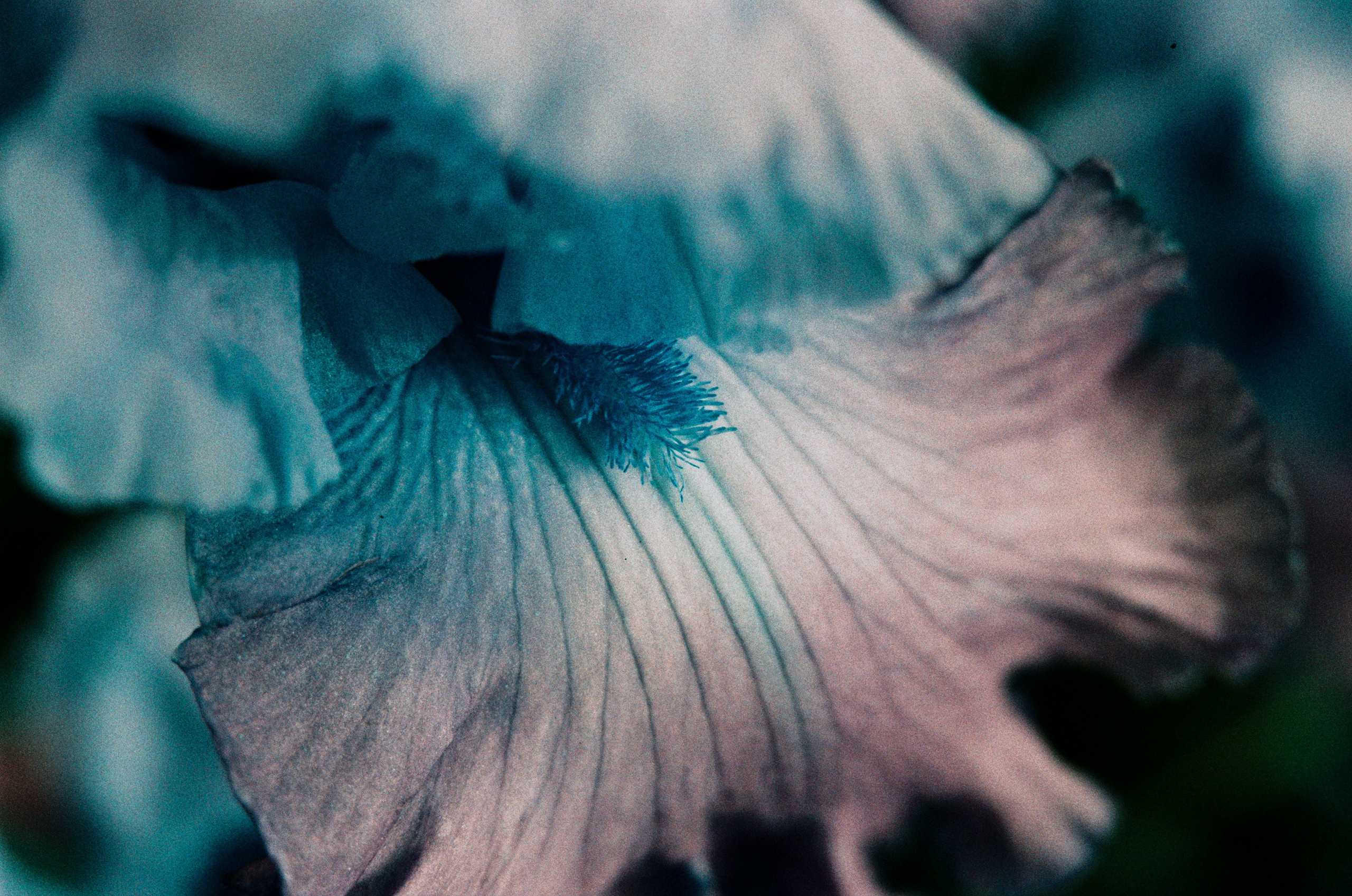 Point of no reply // ukraine, crimea II. EVER EXPOSED