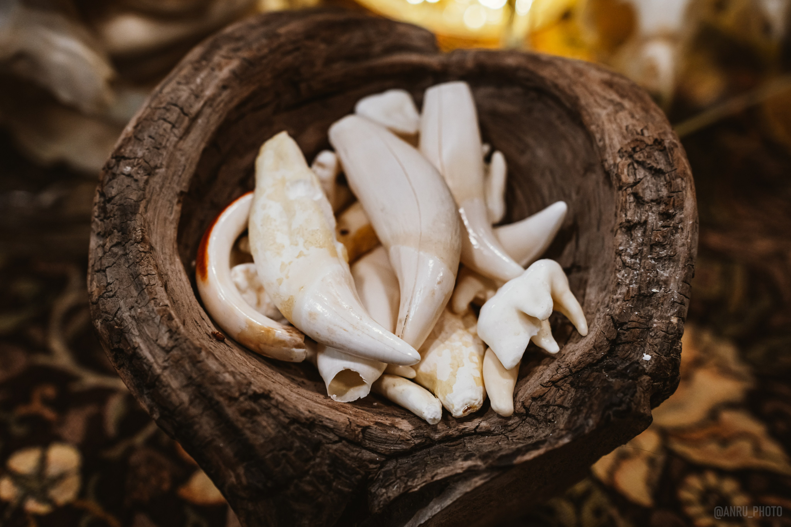 Рептилиум (ручная работа). Репортажный фотограф Анастасия Рубцова