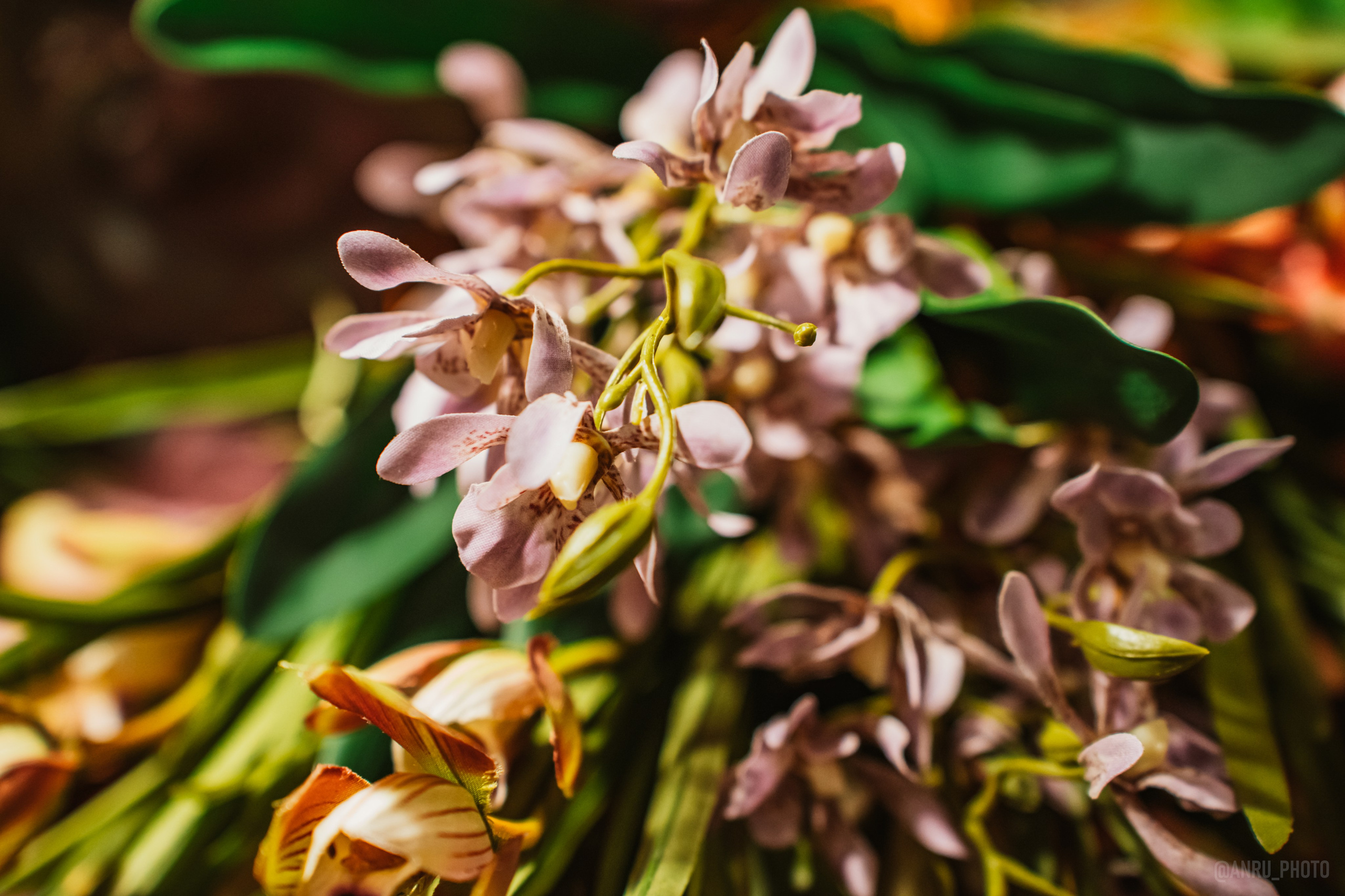 Рептилиум. Репортажный фотограф Анастасия Рубцова