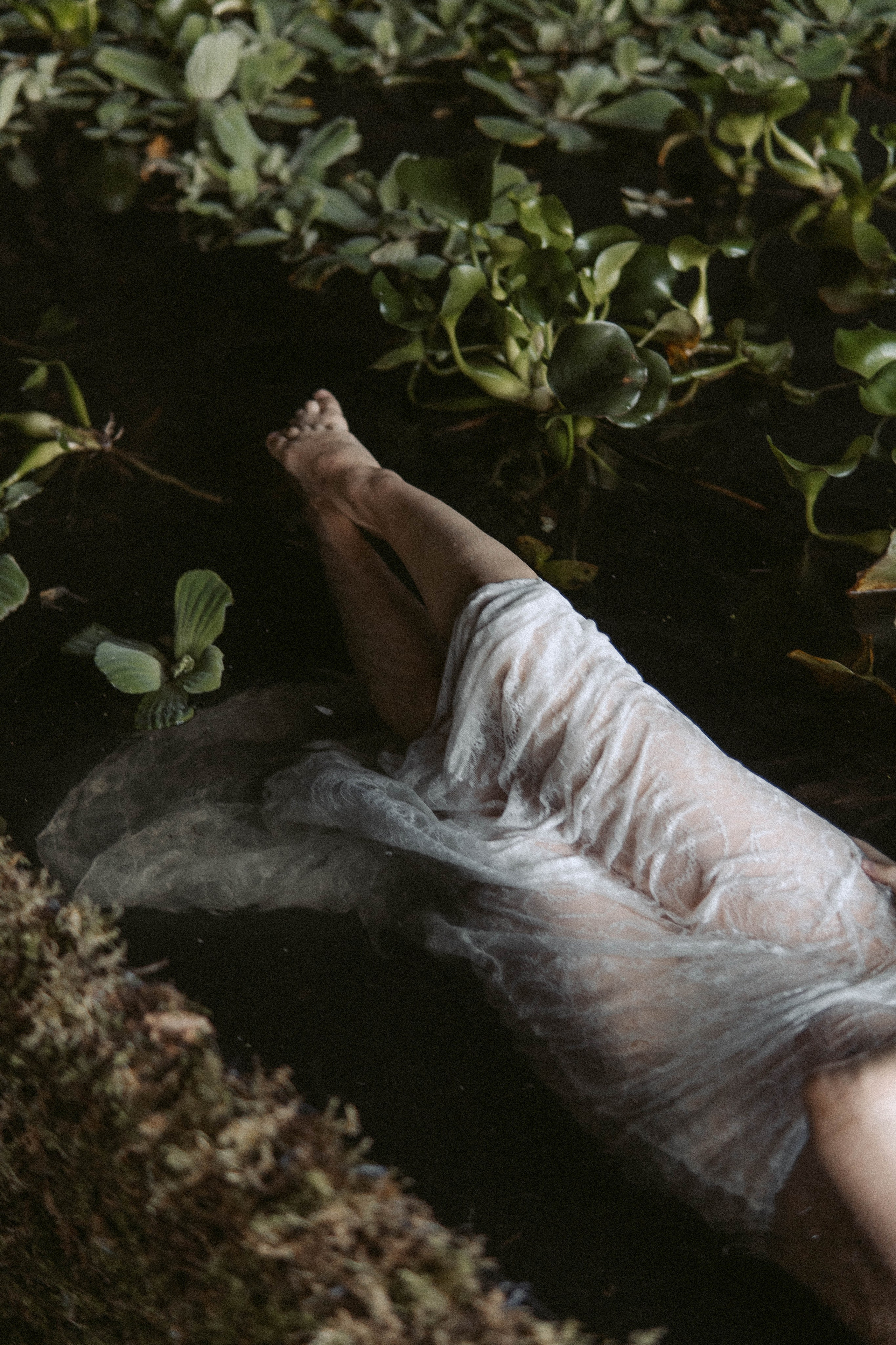 Serena. Главная страница