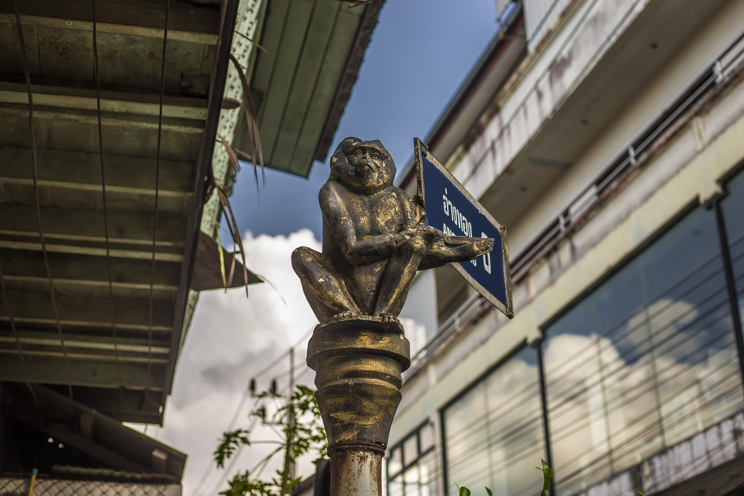 Thailand 2023, Samui. Art Photographer