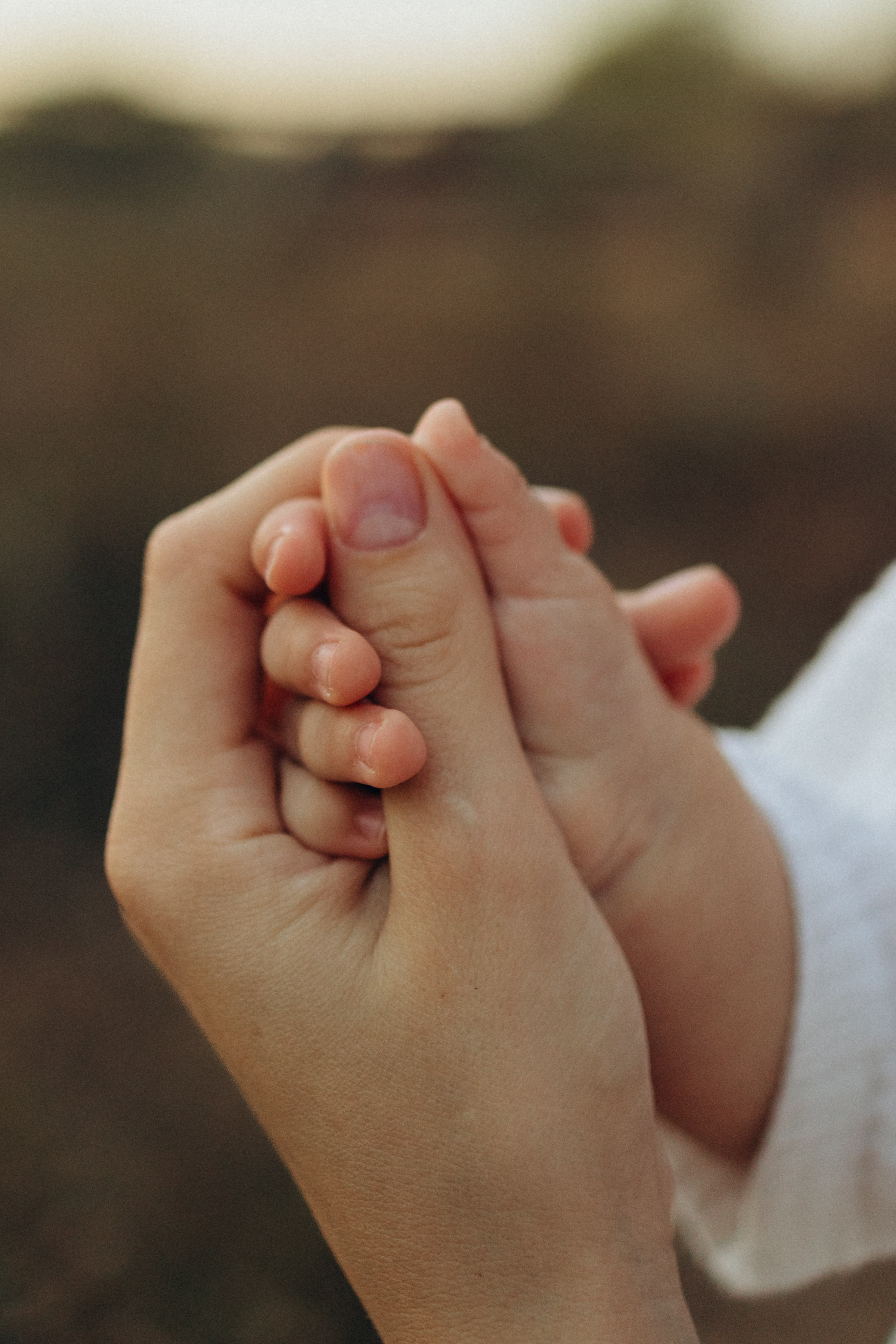 Семейные на природе. Семейный фотограф и видеограф Наумова Анна