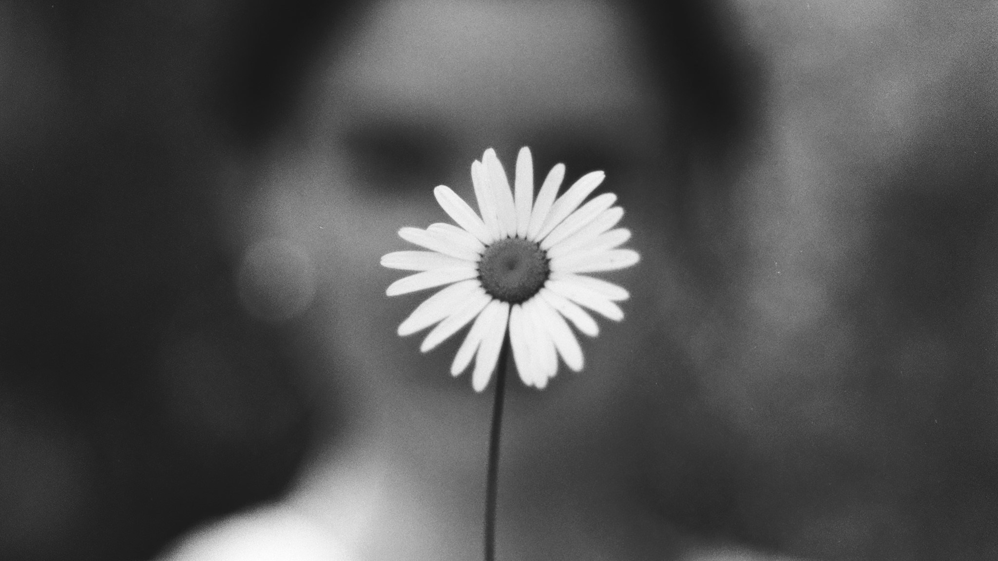 Фотограф · barwarm35mm · Москва