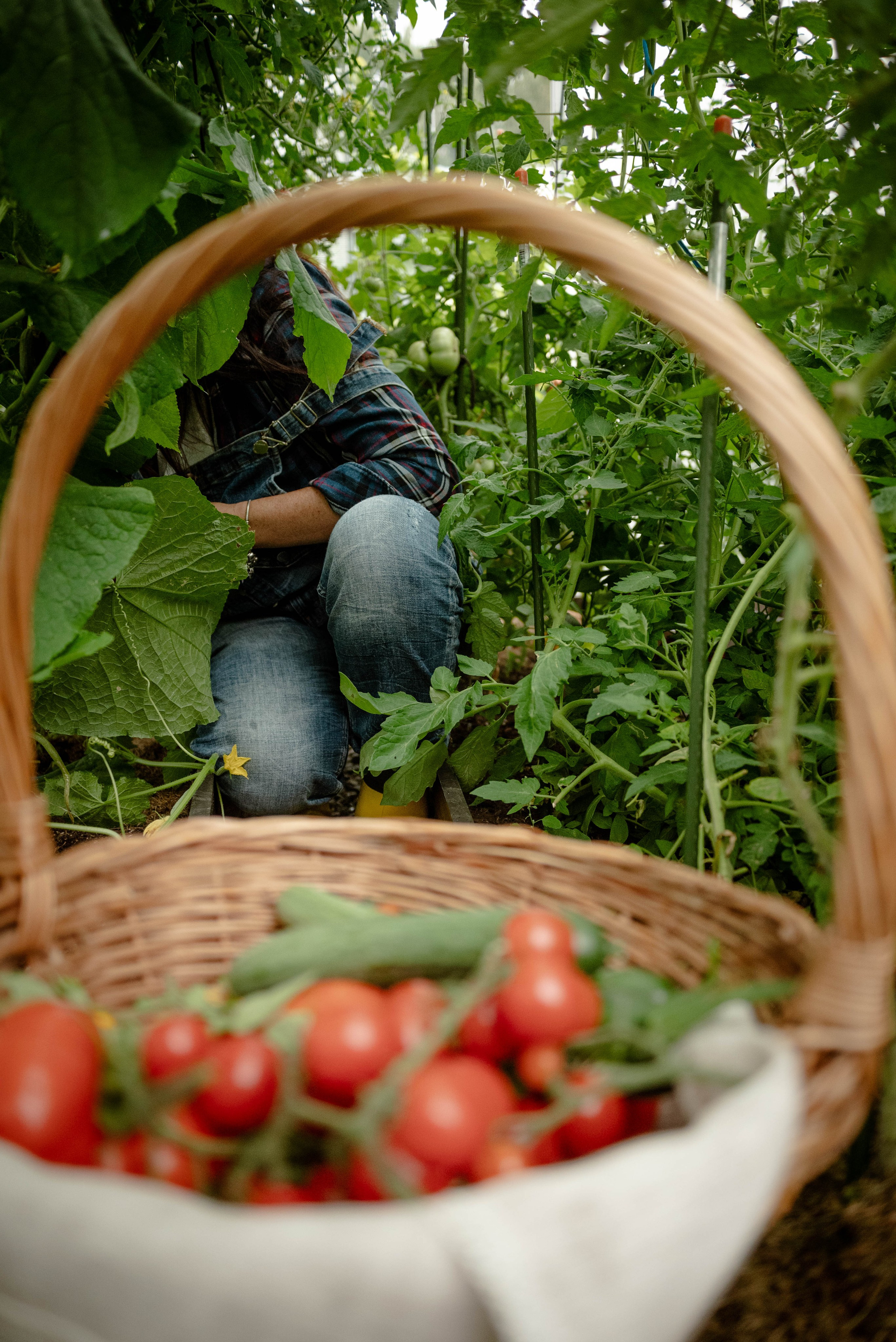Лесное царство Оксаны. Свадебный и семейный фотограф в Новосибирске, Санкт-Петербурге, Москве