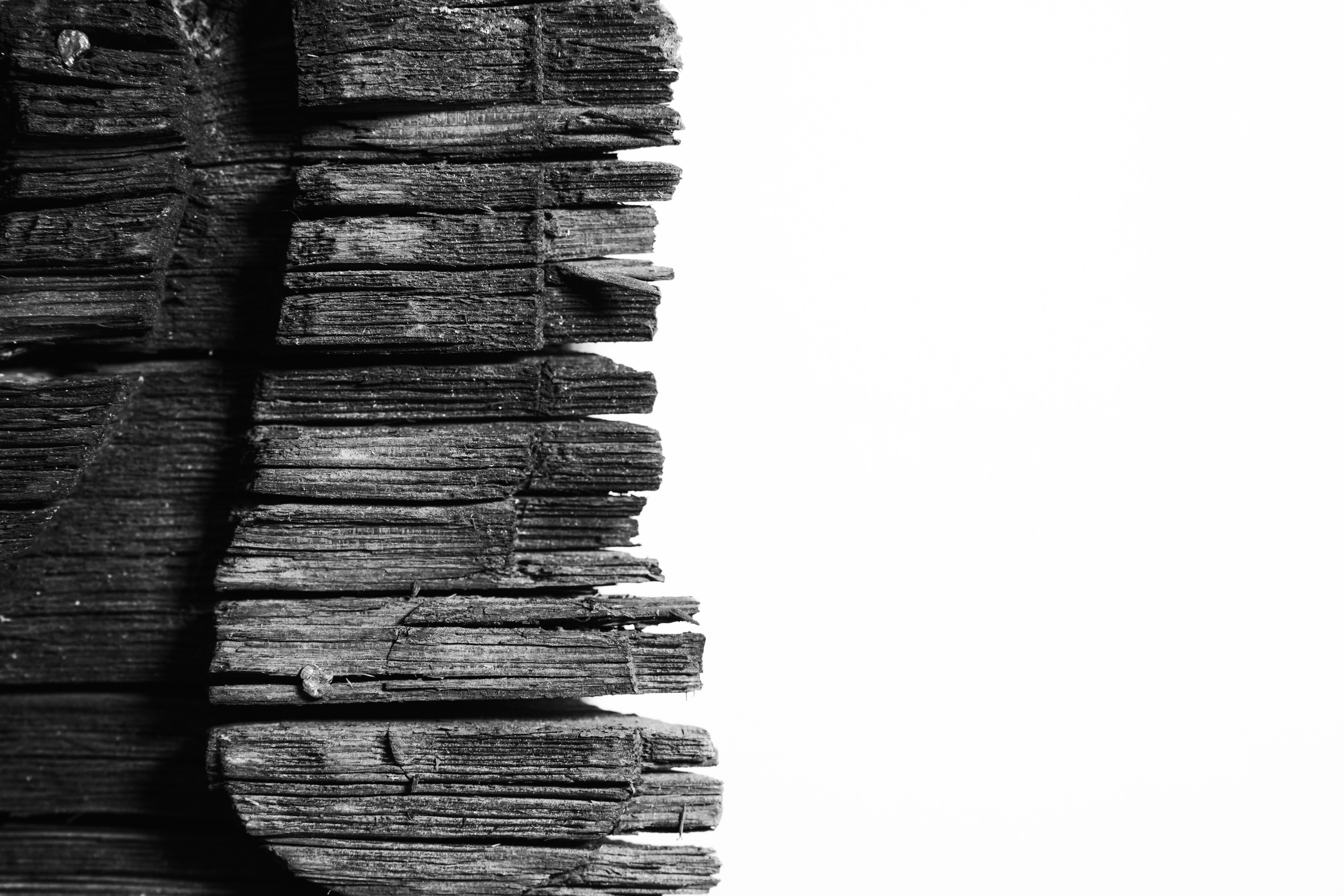 Живет художник. Arseniy Karchevskiy I Photographer