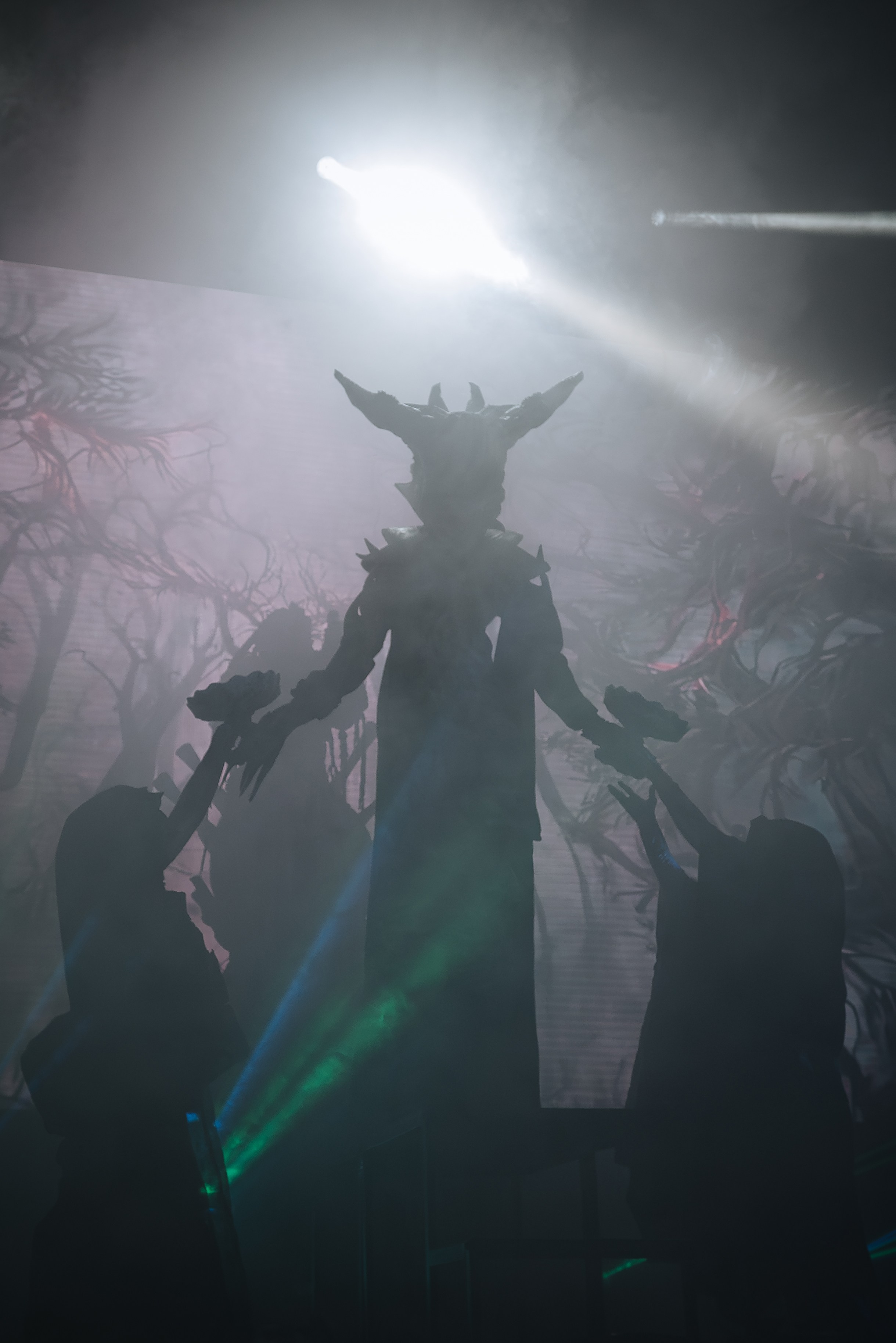 Биопсихоз. Фотограф Карина Шарова Москва