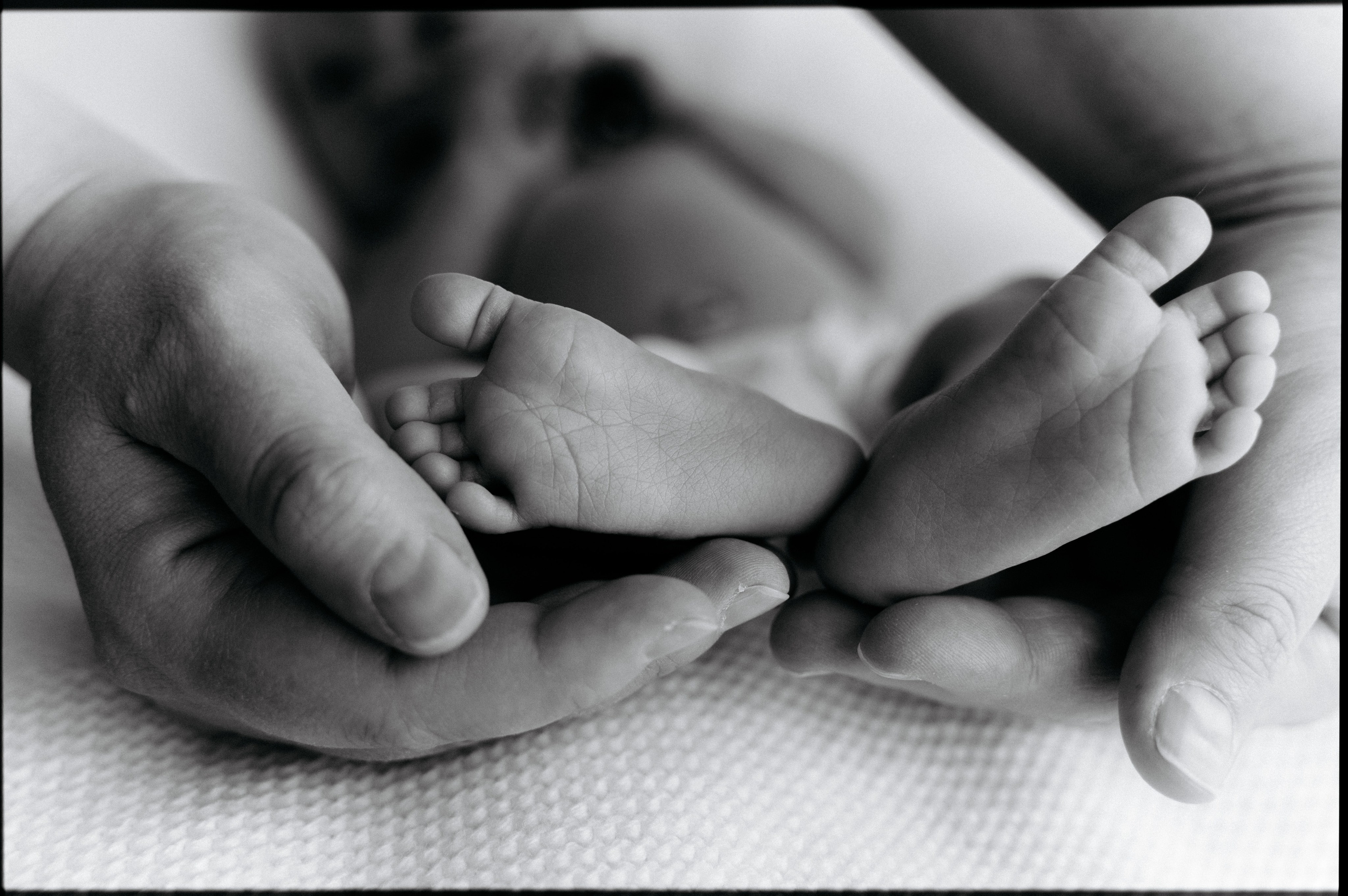 Newborn. Алена Носик фотограф Москва