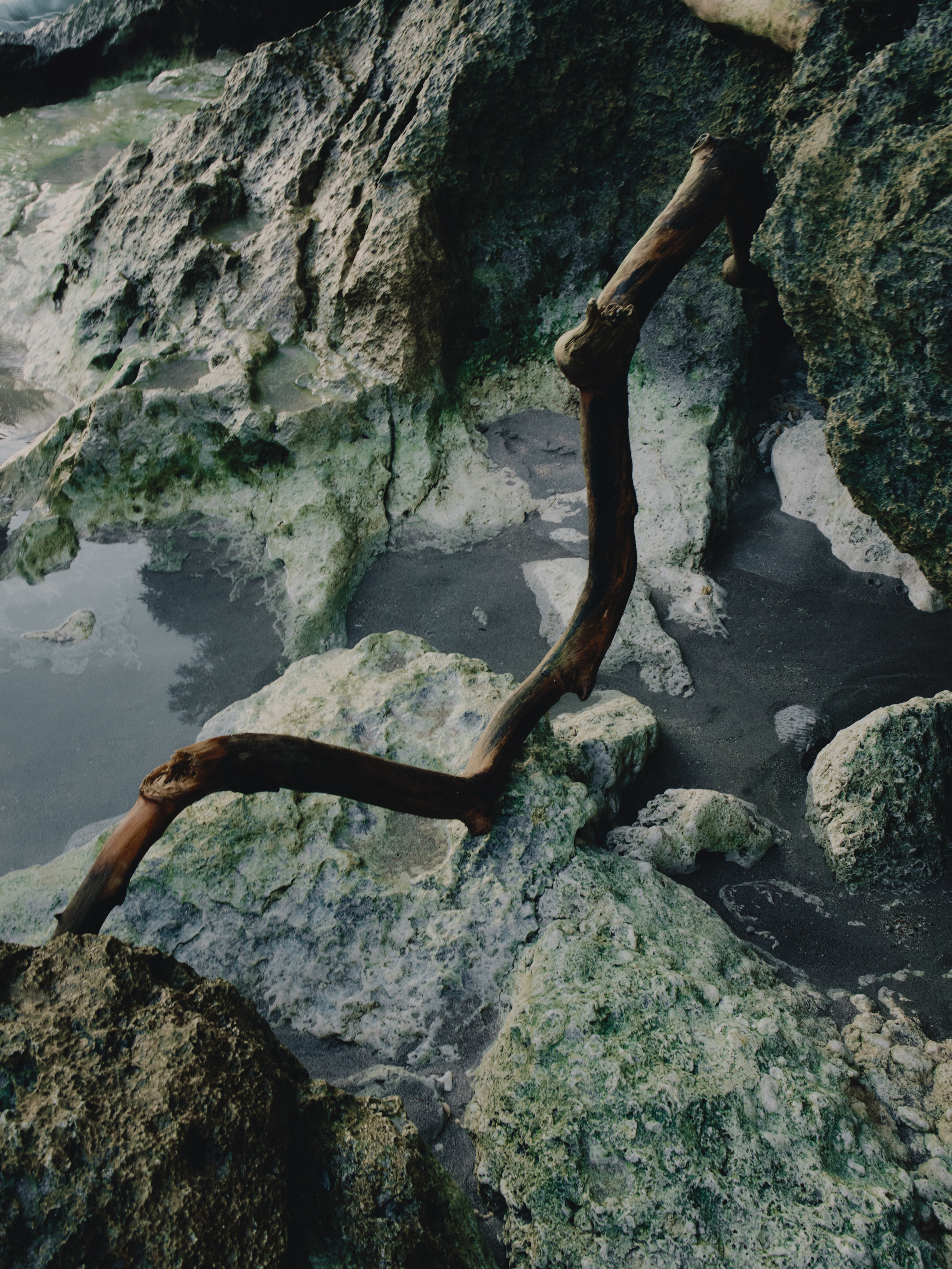 Asia. Olya Filina | Moscow Photographer