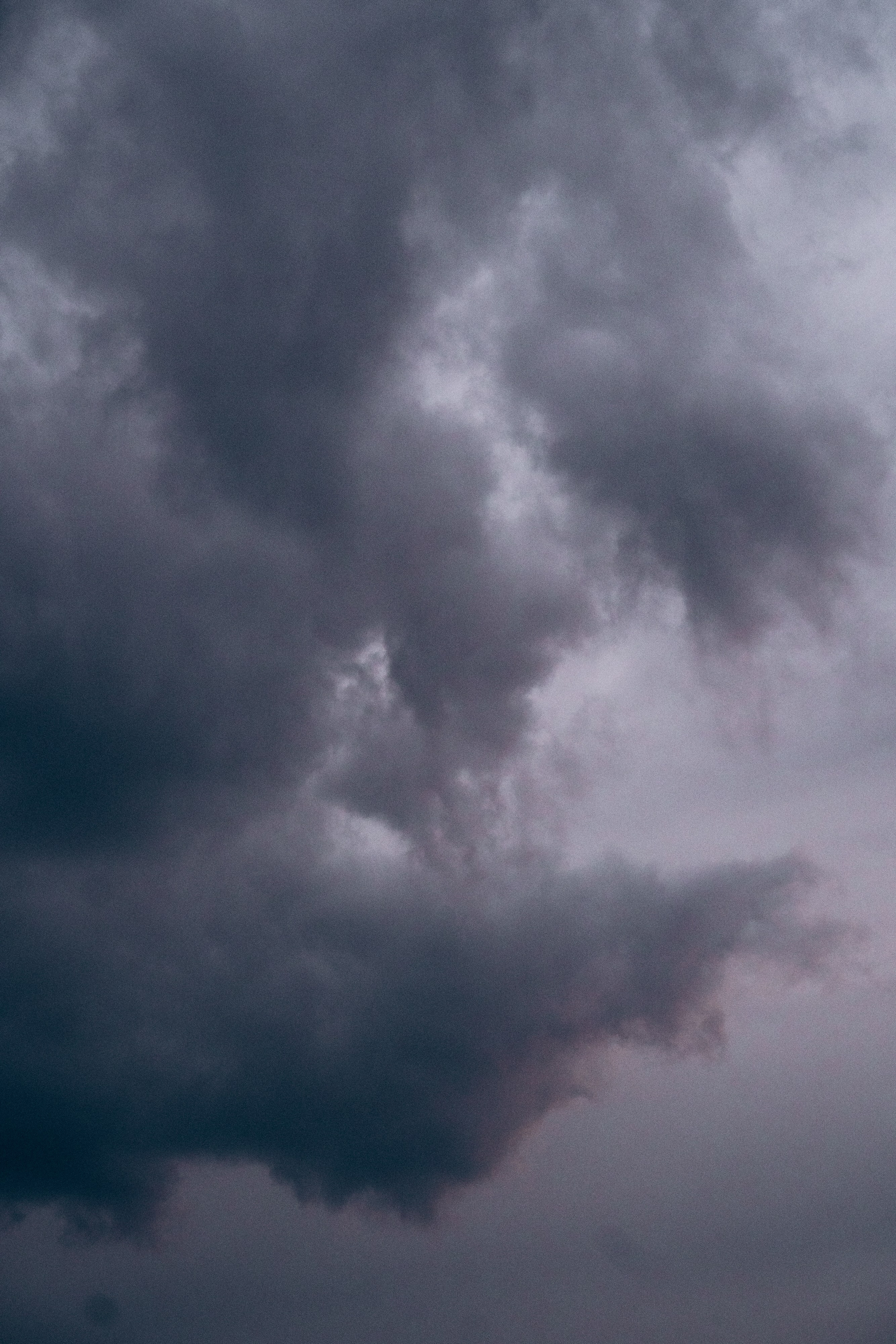 Кристина, Александр, Каролина, Владлен и Космос. Фотограф анималист в Москве и Санкт-Петербурге Свиридова Анна