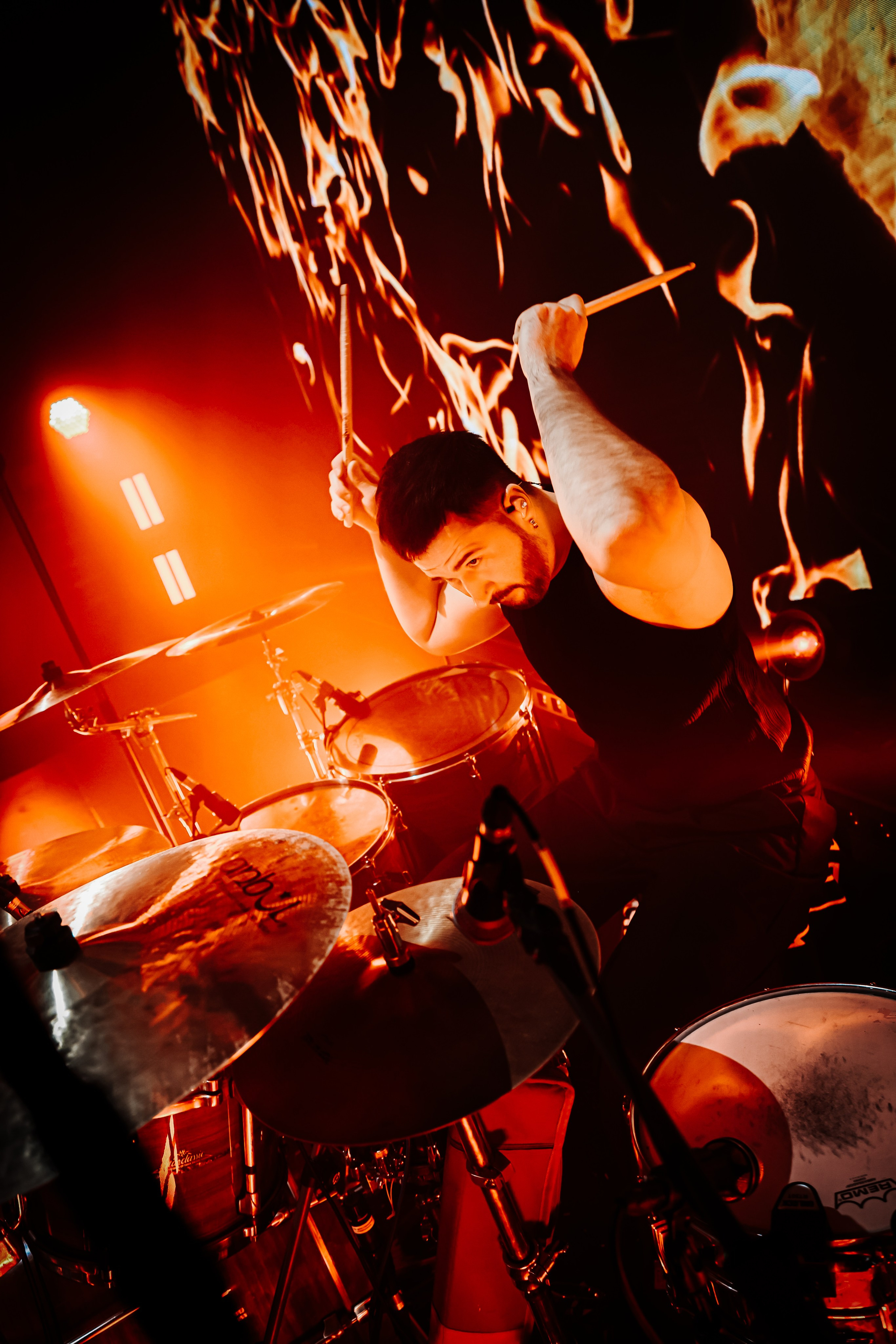 TRITIA | A2. Фотограф из Петербурга Софи Веритас Концерты и портреты