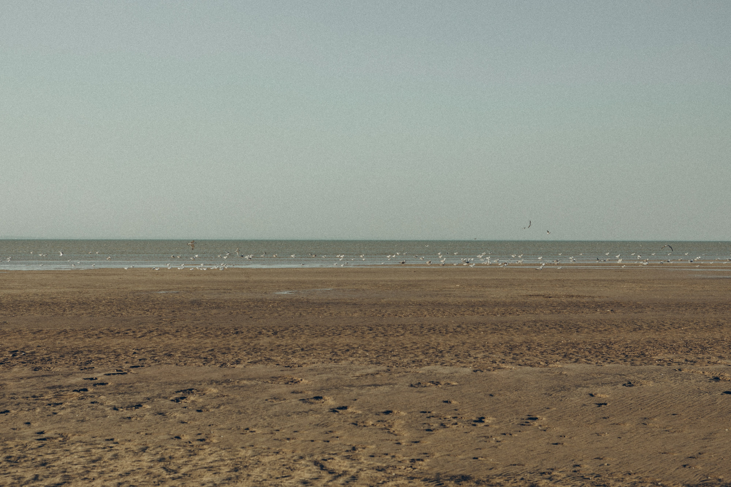 Family moment 💫. Семейный фотограф и фотограф на роды в Ростове-на-Дону Мухина Виктория