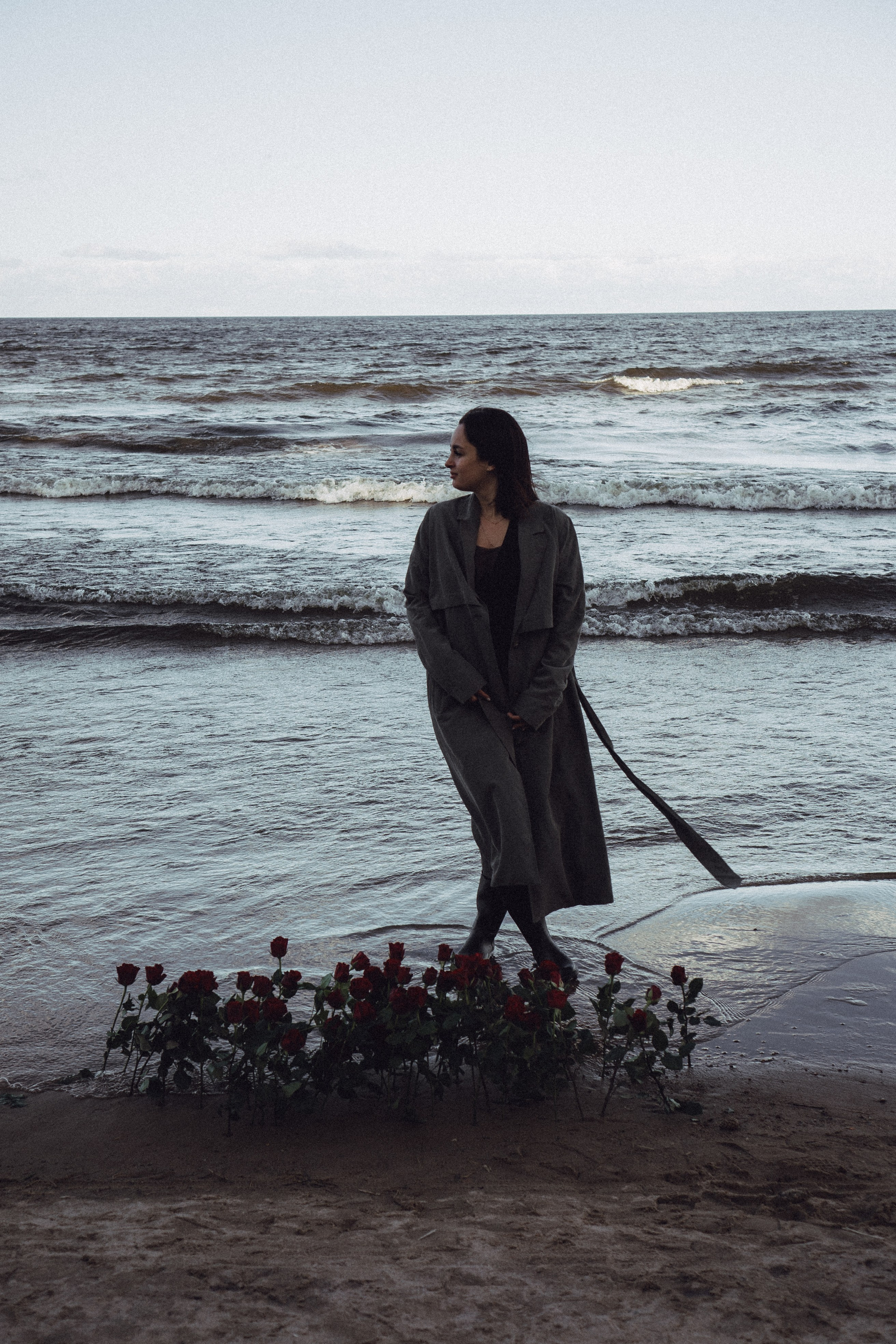 Розы. Профессиональный фотограф, Санкт-Петербург — Виктория Богомолова