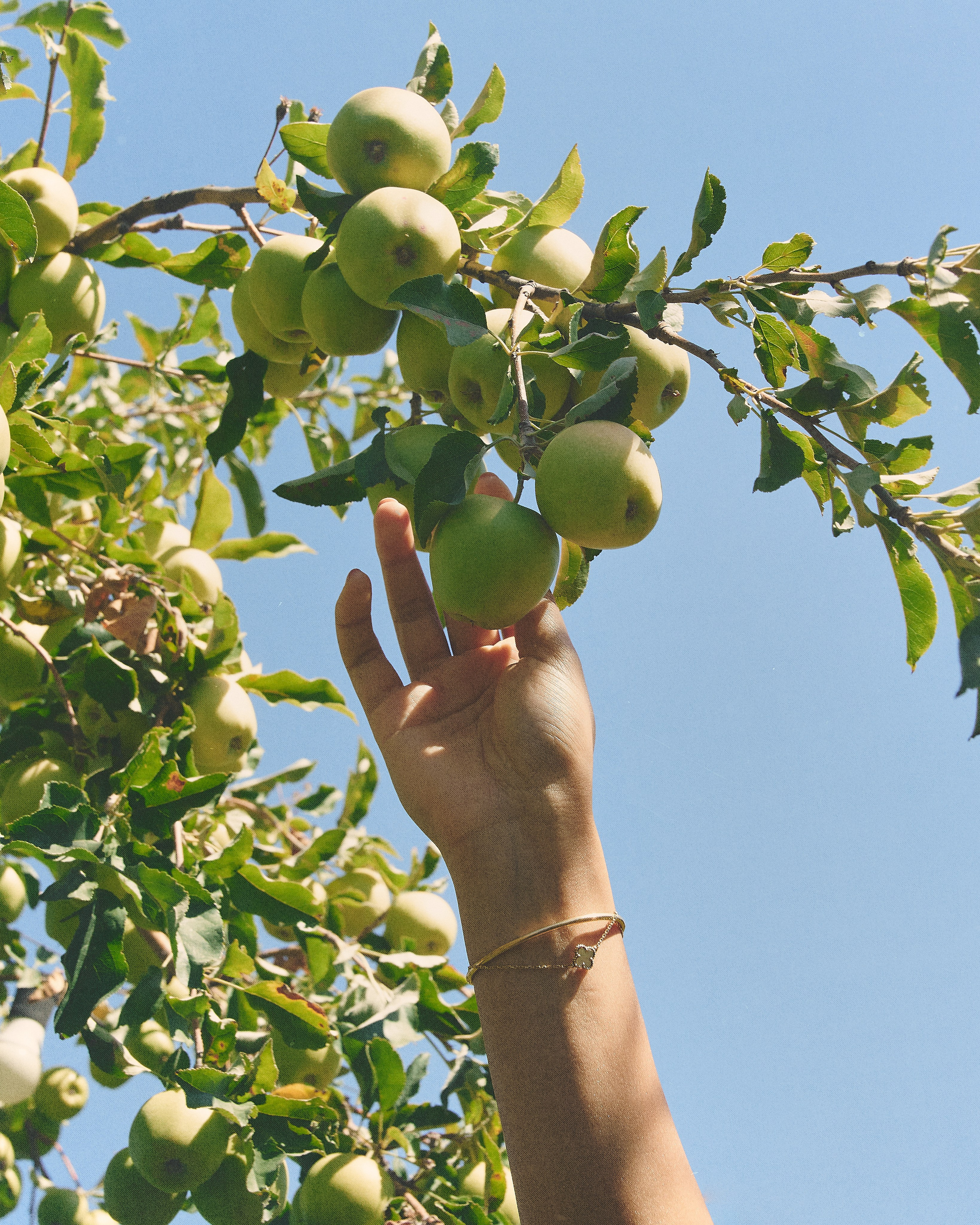 Zhaniya. Fashion, portrait, personal photographer. Almaty, KZ