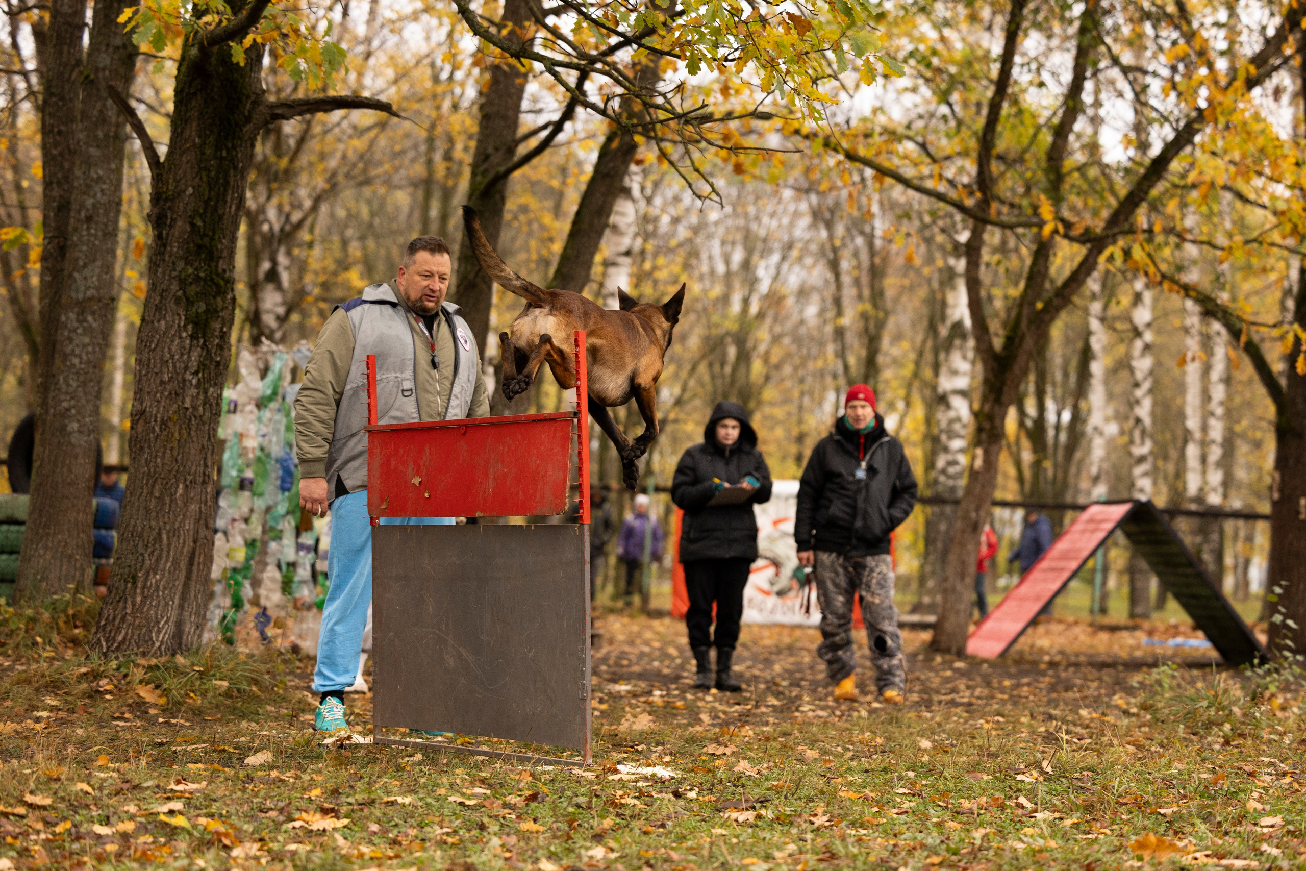 Соревнования по Мондьорингу г. Вологда. Фотограф-анималист Анна Маринич