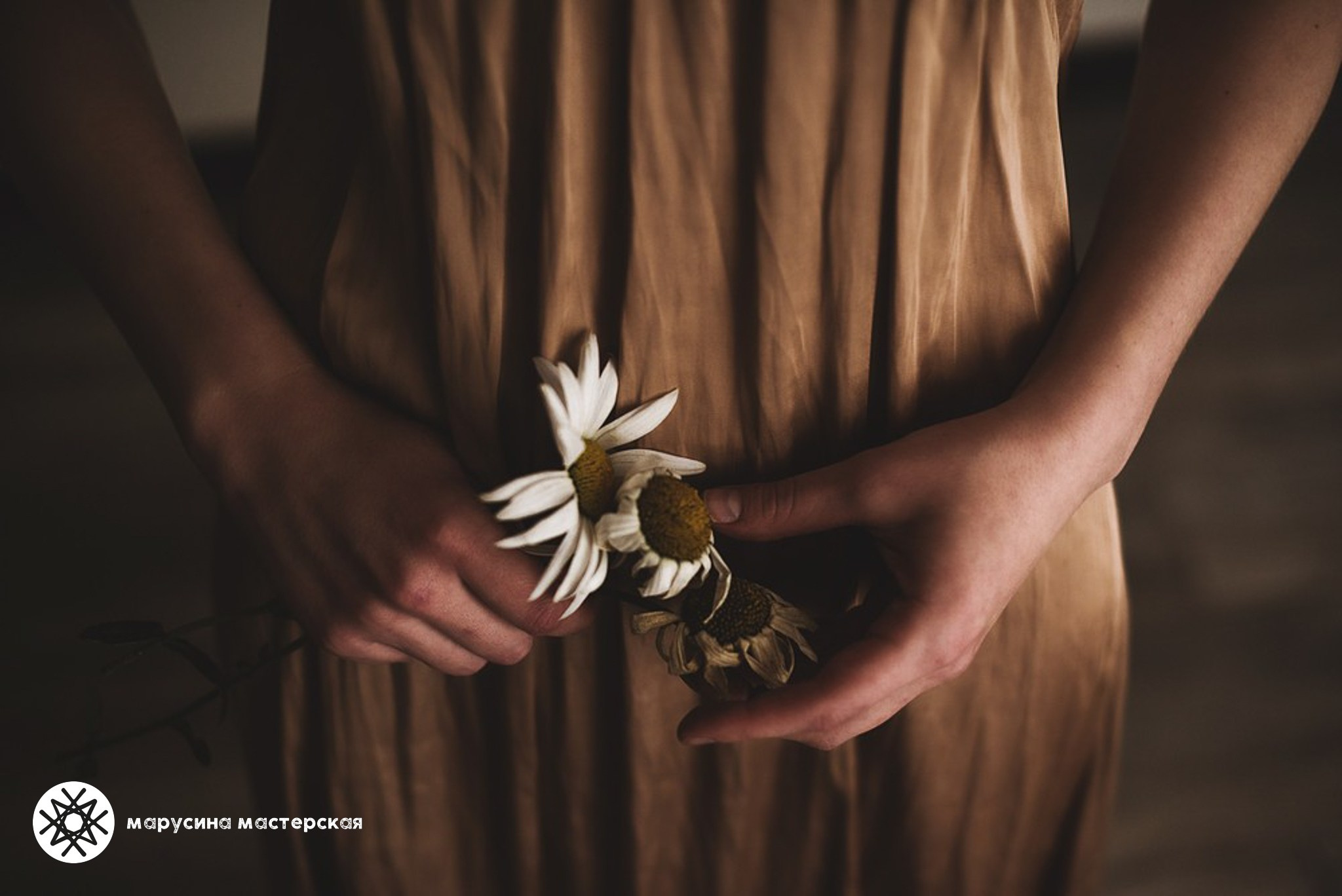 Творческая фотография, снятая в рамках осенней творческой практики, автор — Катерина Толстых