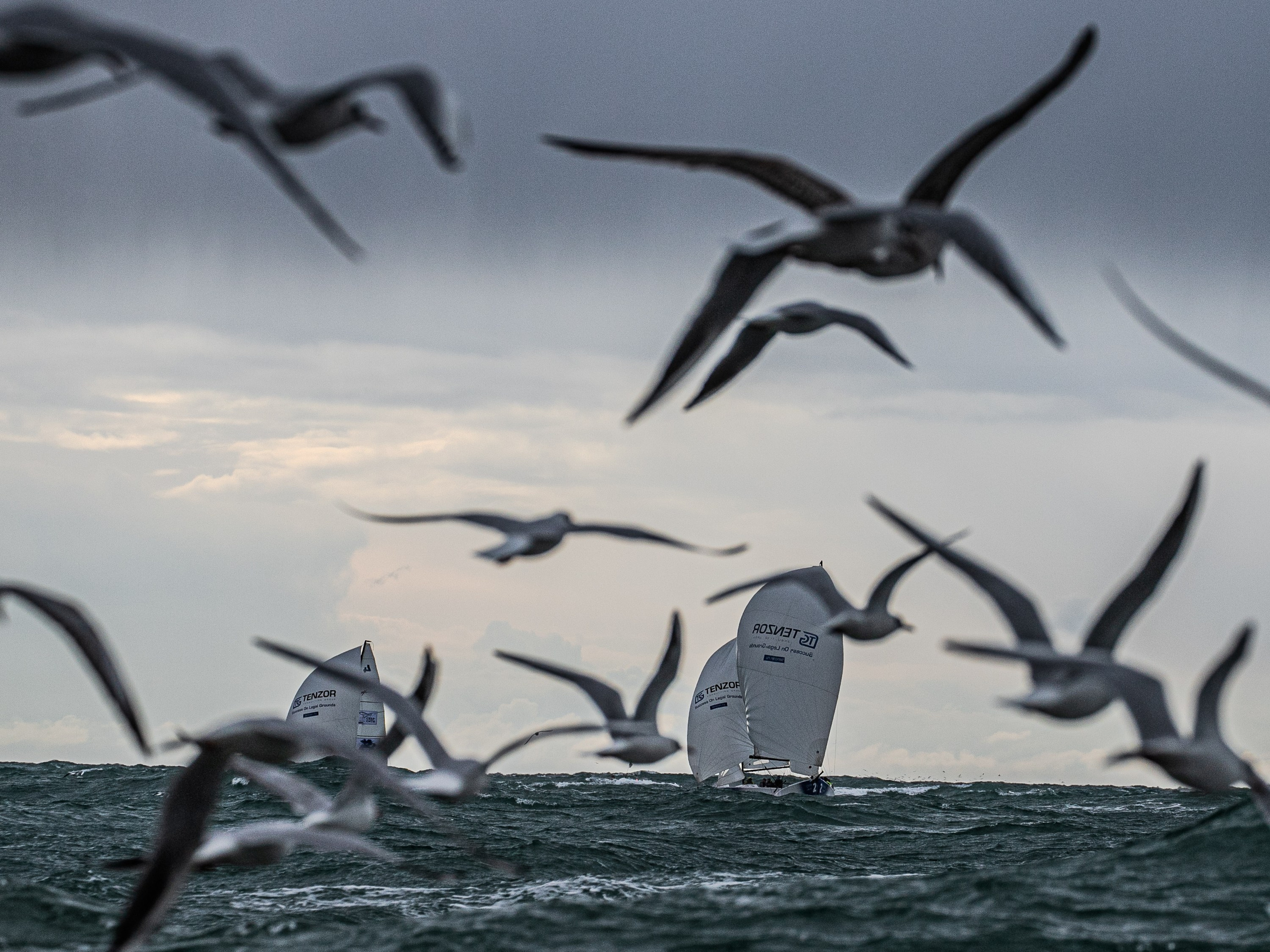 Фотограф спортивных мероприятий в Москве