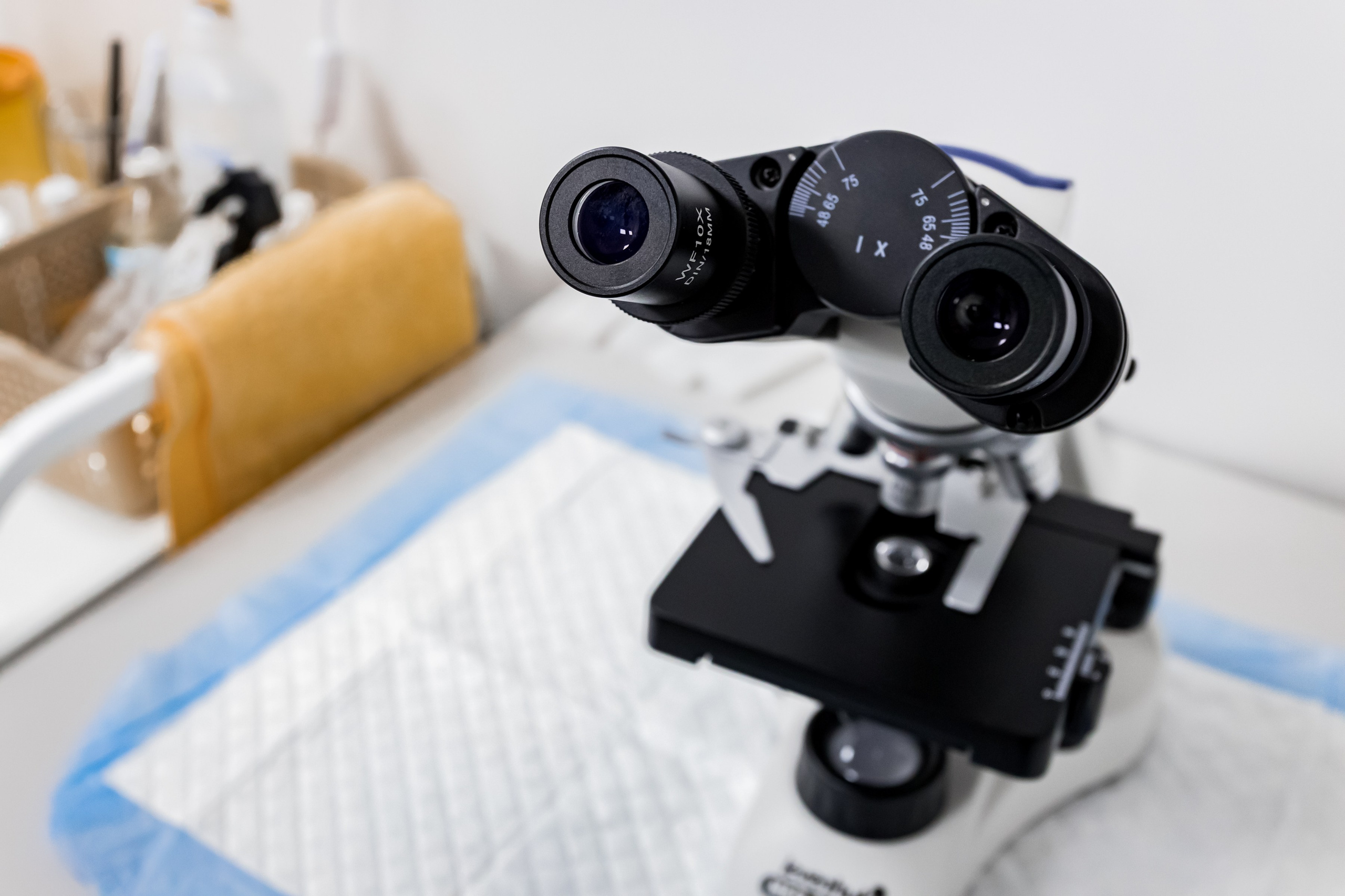 Интерьерная съемка для ветеринарной клиники КотОся. Интерьеры, Контент, Портреты | Фотограф в Москве Дани Терно