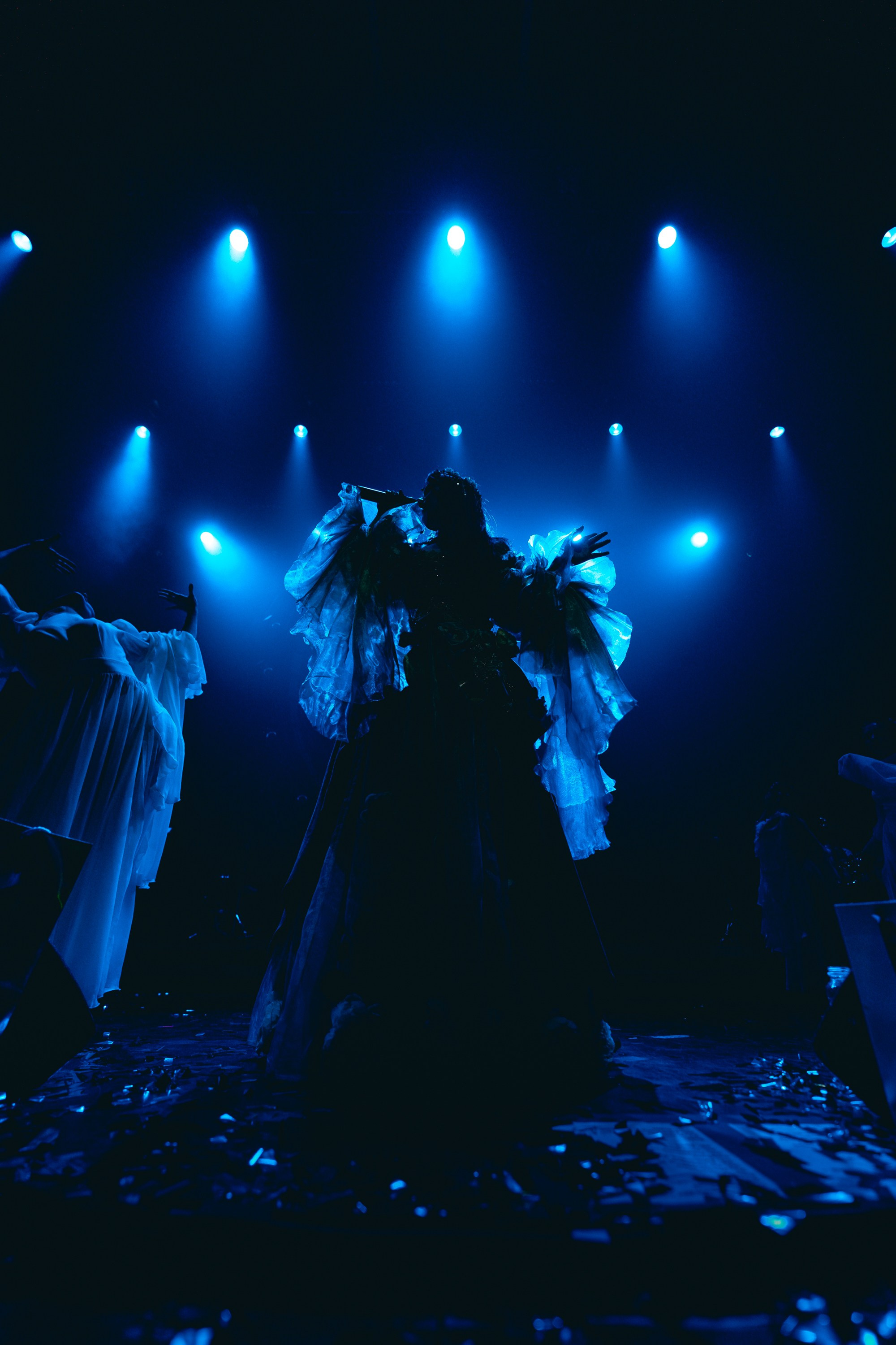 Polnalyubvi. Магия музыки в кадре: Концертная Фотография