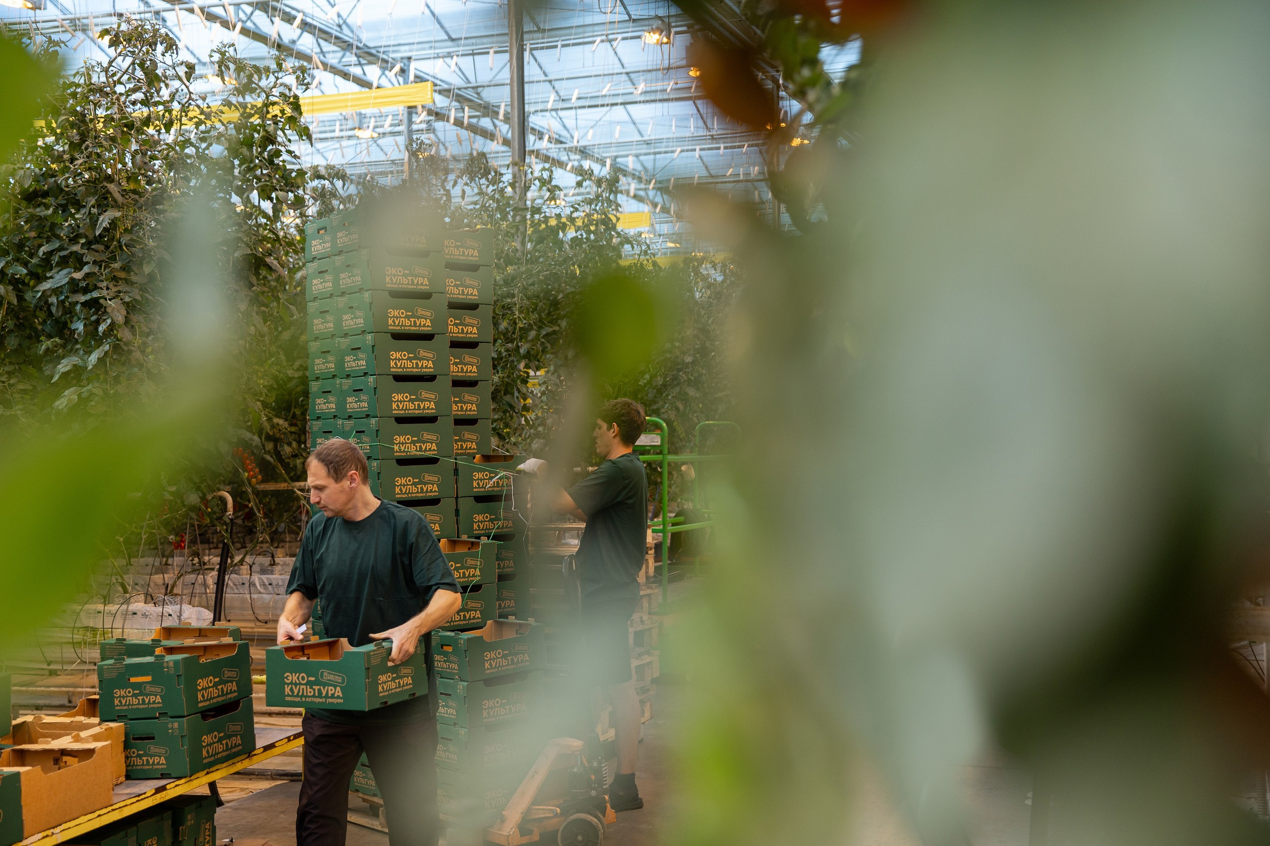 Производство. Фотограф Николай Петрушкин | Ставрополь, Москва