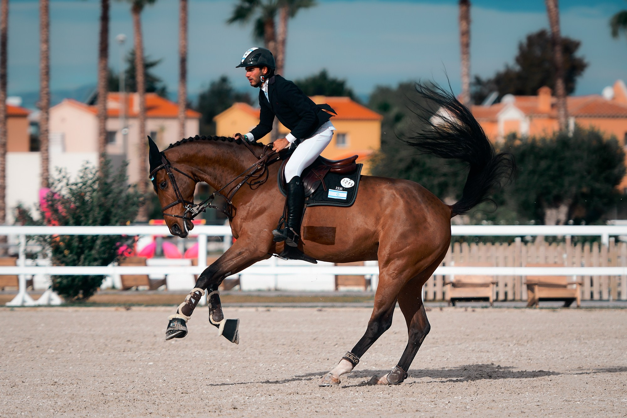 Конкур. Конный фотограф Alesya Safe