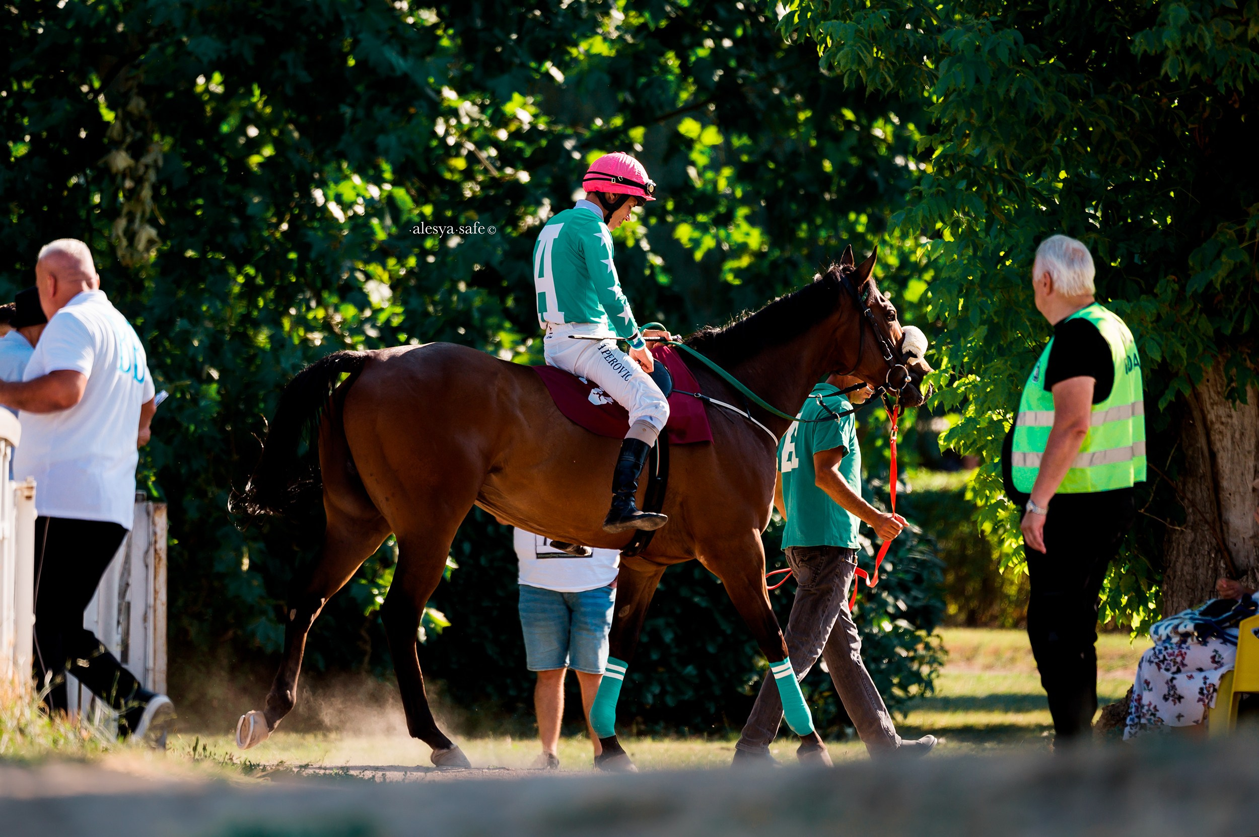 Скачки. Конный фотограф Alesya Safe