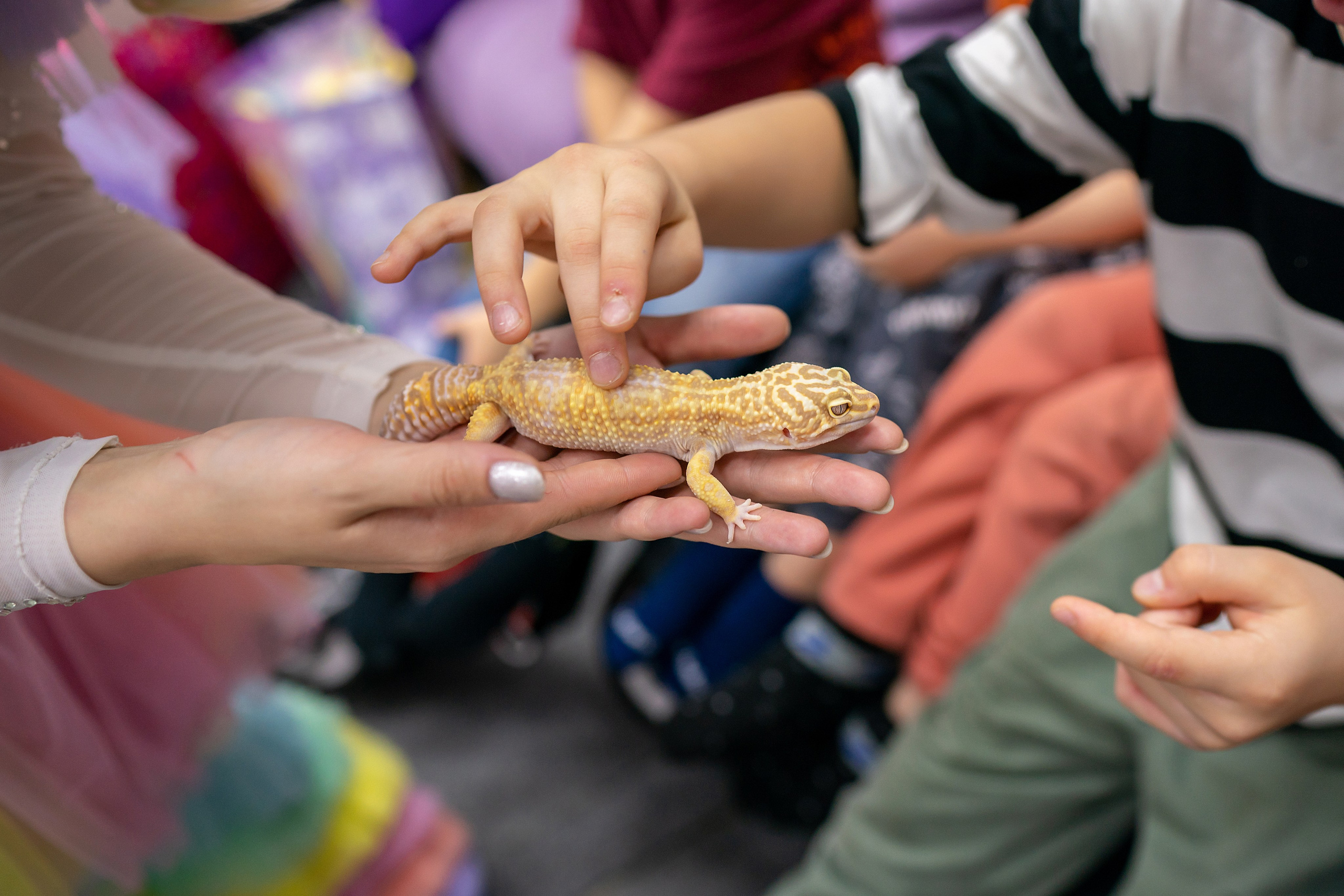 Годик Марии. Фотограф на Крещение и Венчание в Красноярске Рамазанова Юлия