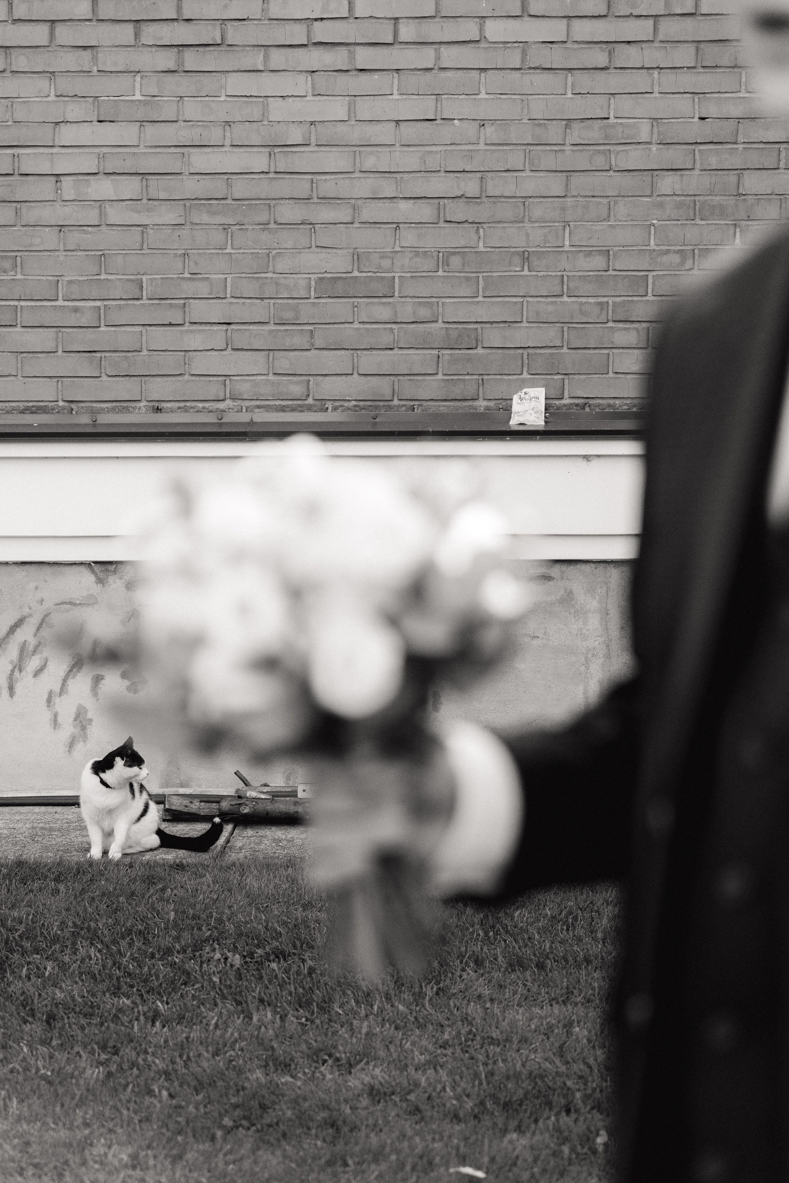 Анна и Илья. Фотограф Дарья Норкина