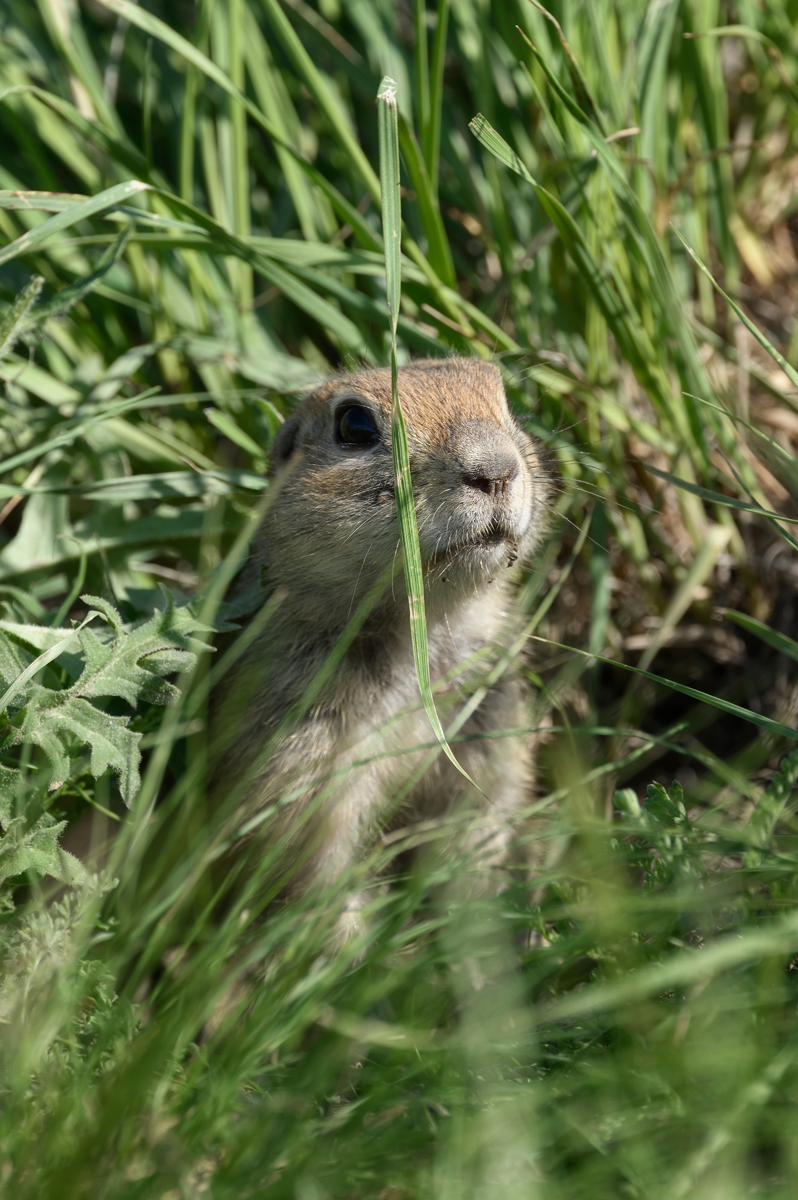 Оренбуржье. Портретный фотограф в Челябинске Катерина Руди