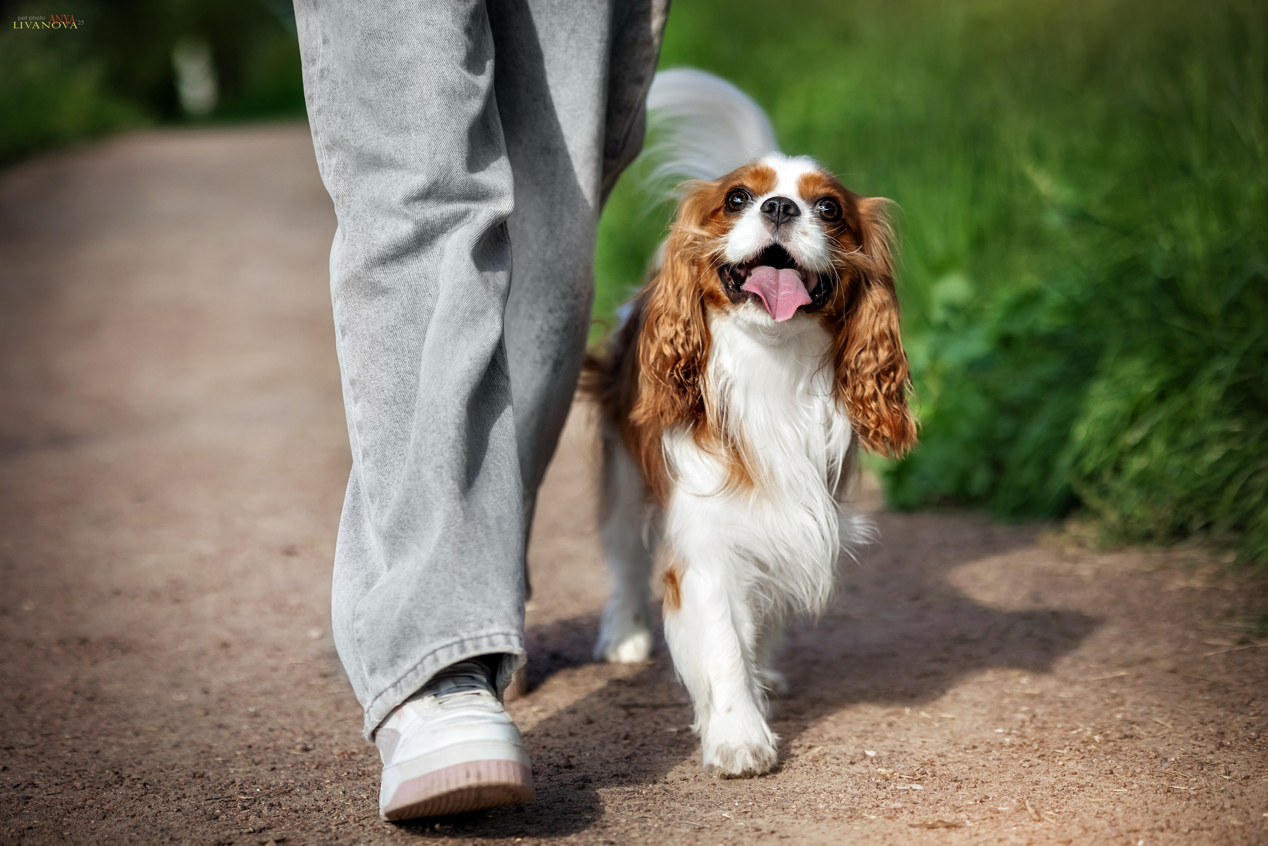 Маруся и Энди. Фотограф анималист Аня Ливанова | Рыбинск