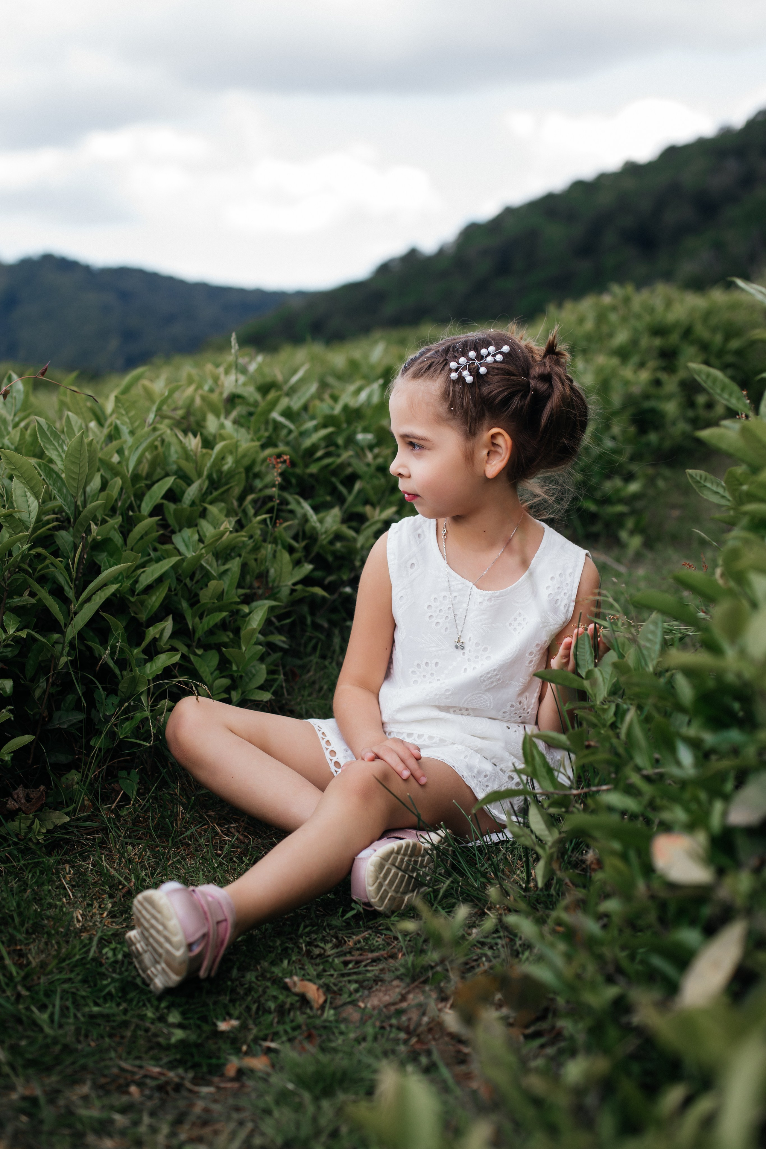 Tea plantation. Efimova Model Agency