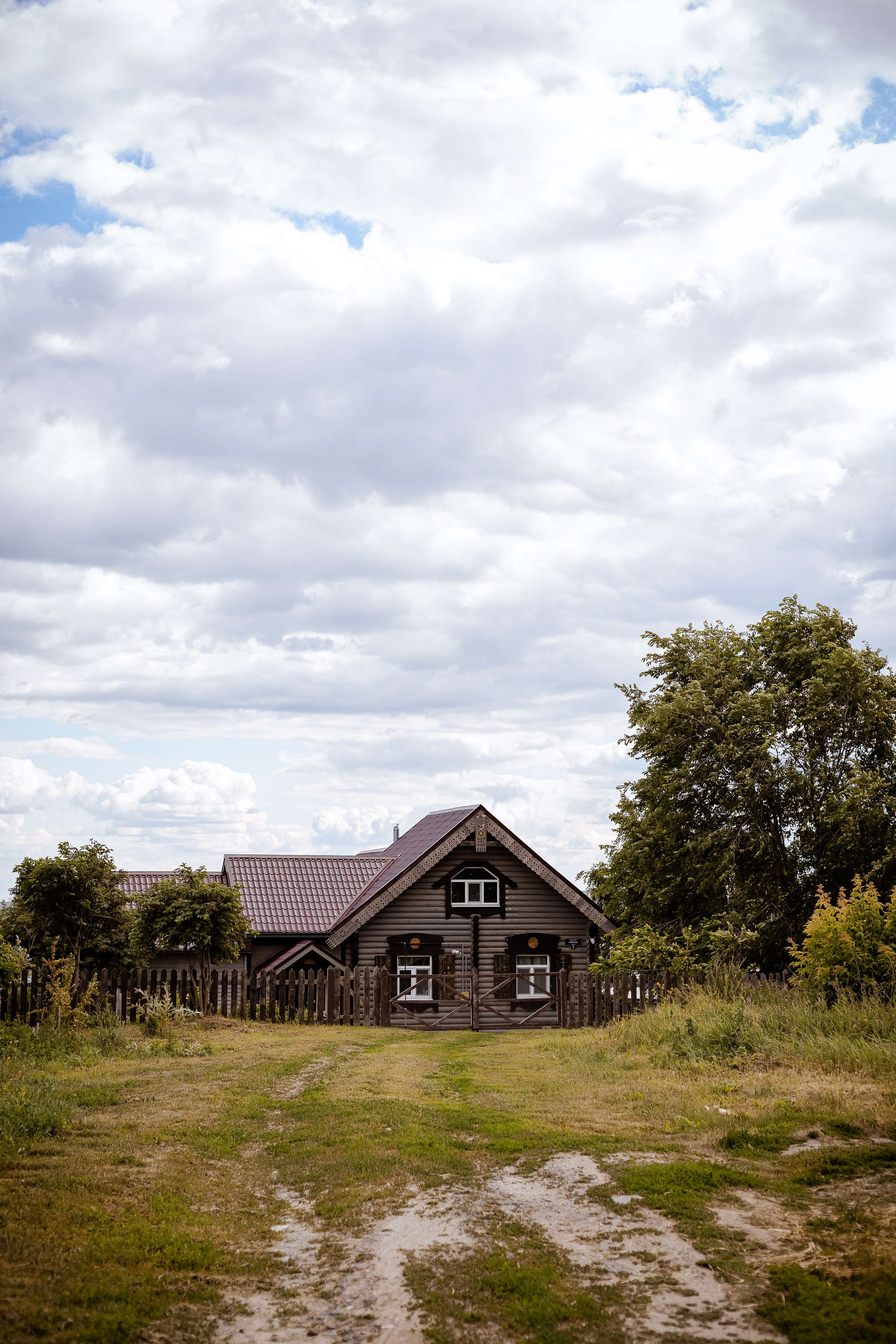 Фотосъемка собак, щенков, на выставках, фотограф анималист Россия воронеж. Питомник собак Акита, Хаски, Корги