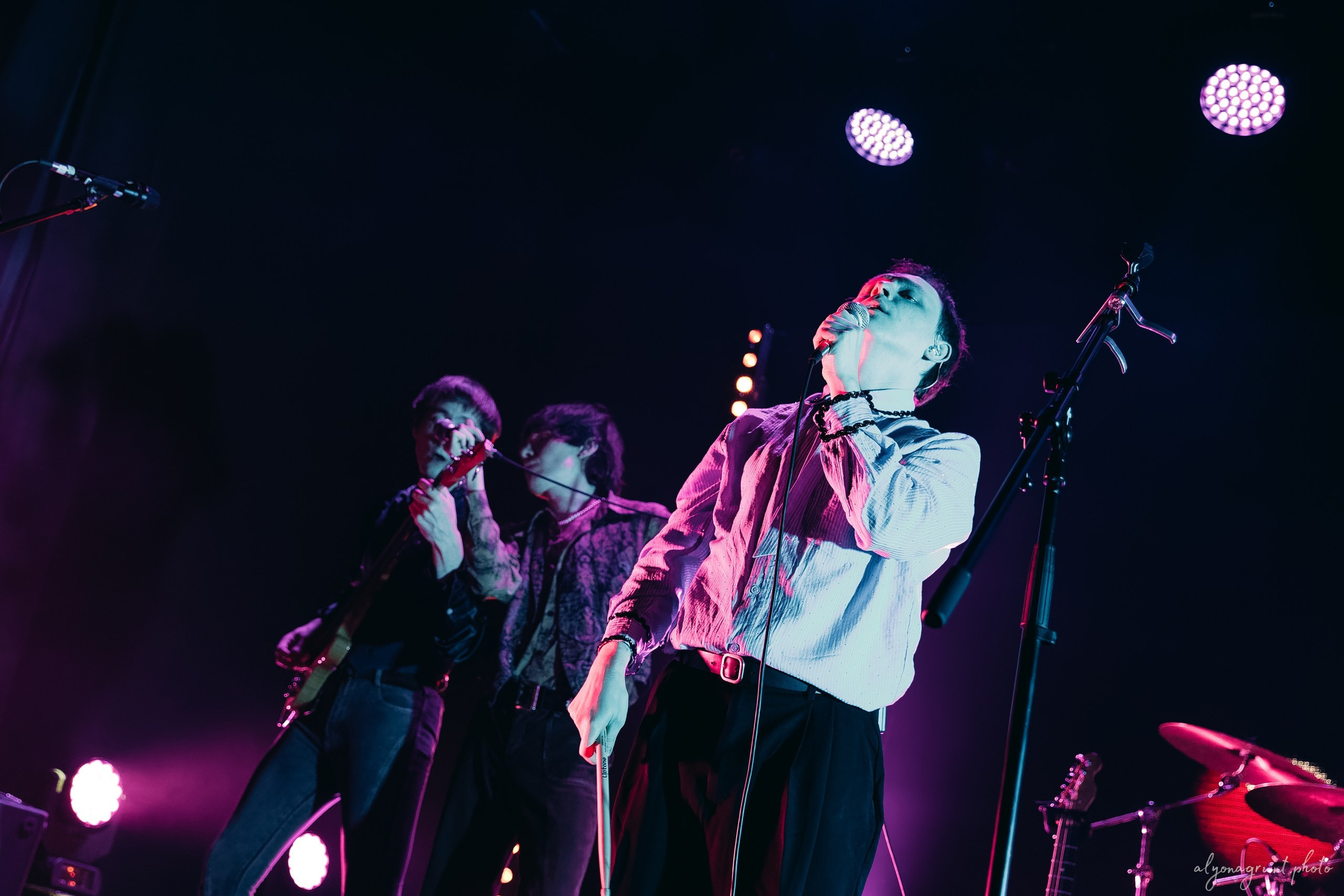 Сова, фоторепортаж, СПб, Космонавт, 18.12.2025. Алена Адрианова: фотограф в Санкт-Петербурге