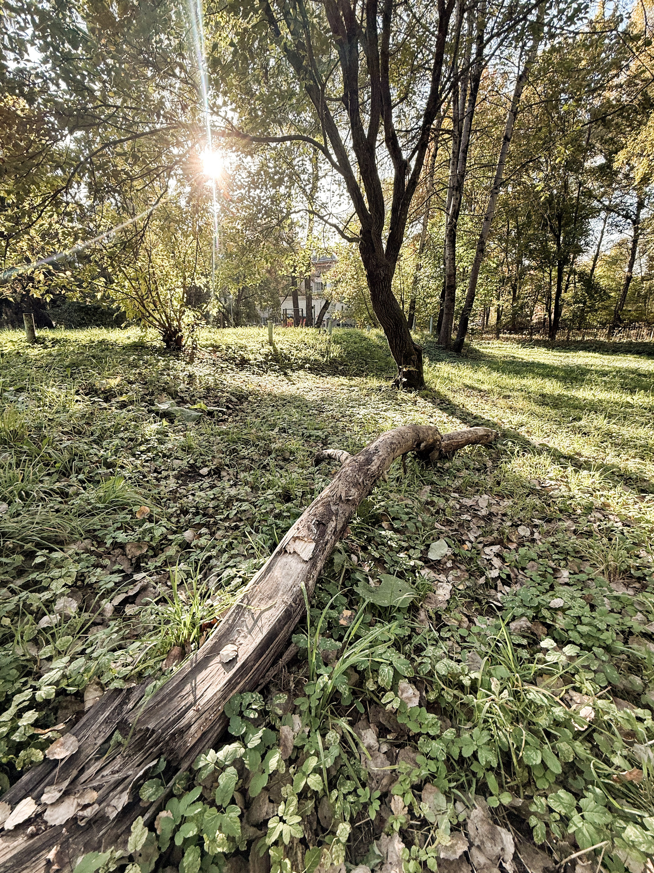 Nature. Фотограф Арсений Королев