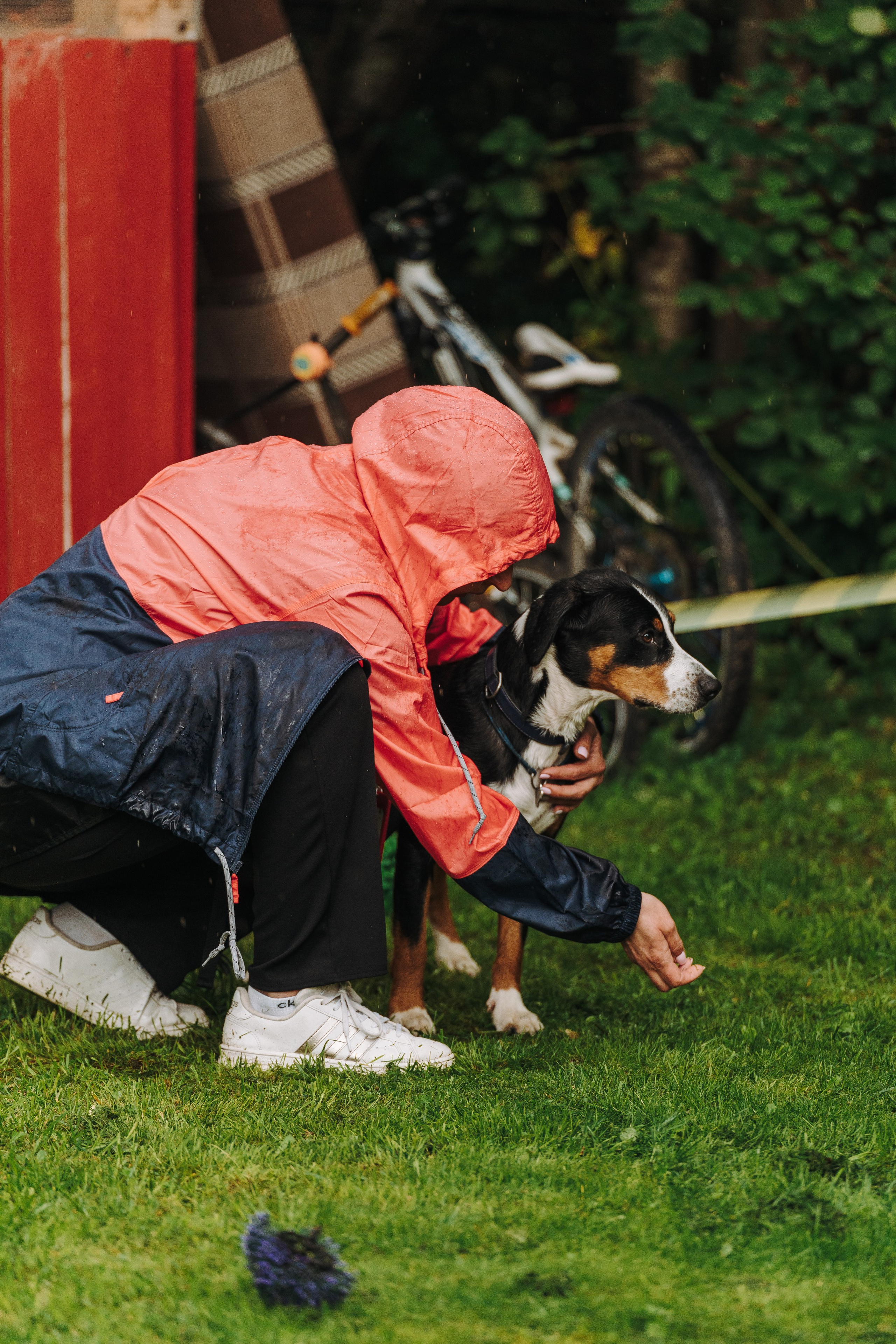 Соревнования по ноузворку в Новожилово. Фотограф анималист в Спб недорого Олеся Майорова