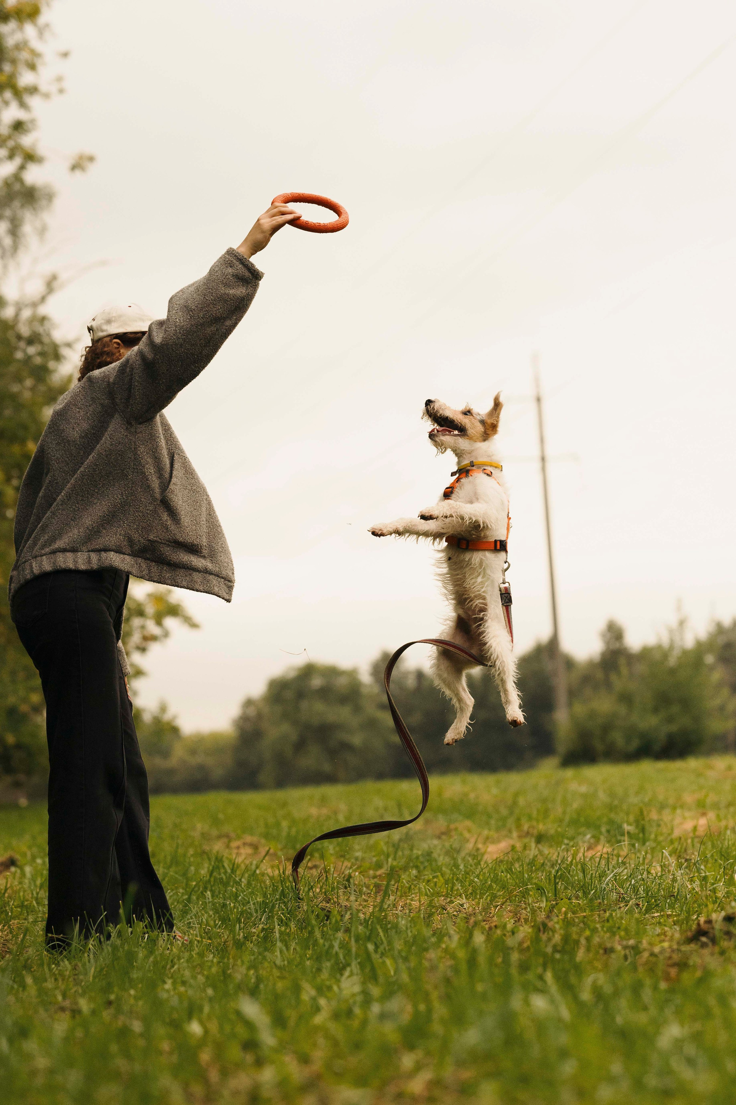 Мартин. Фотограф- анималист Александра Матвеева