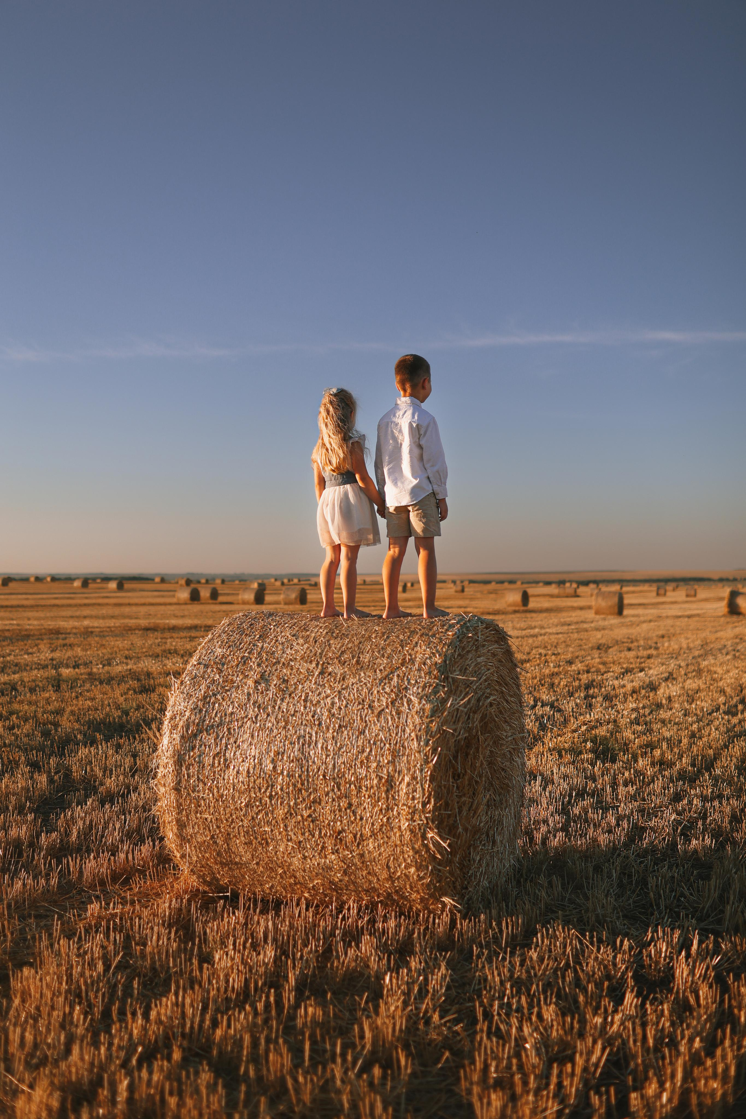 Фотосессия в поле семейная фотосессия Владимир. Фотограф Владимир Москва