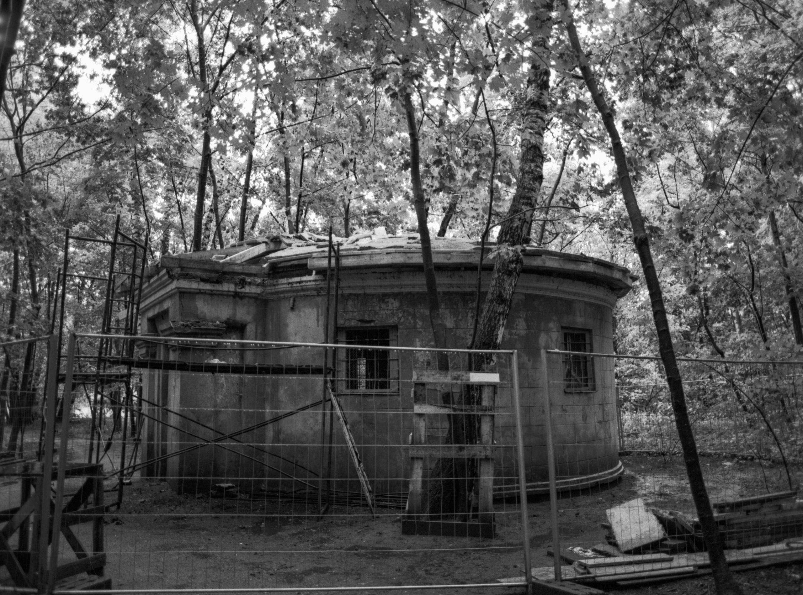 Prints. Maria Abdullaeva