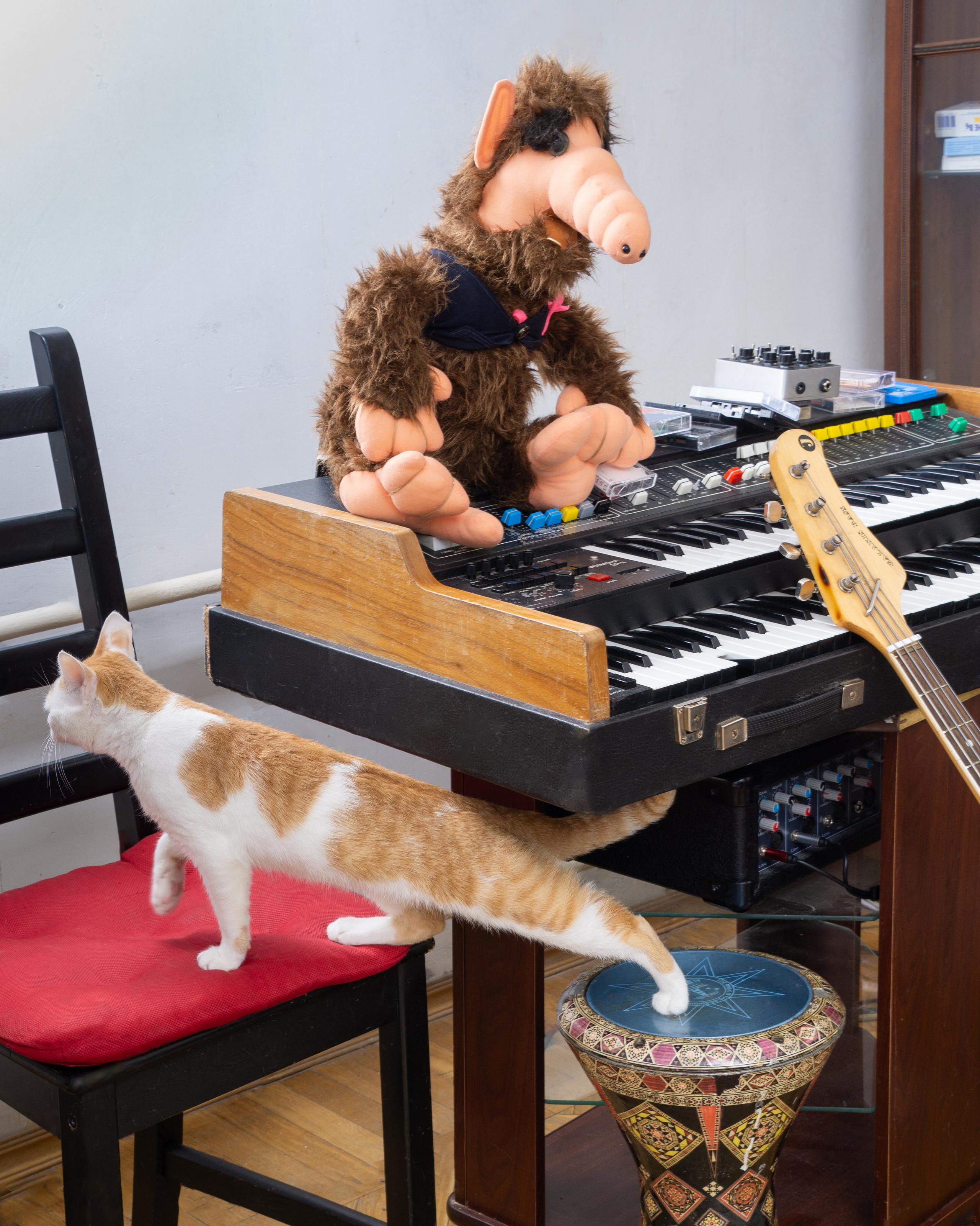 Венец природы человек. Maria Abdullaeva