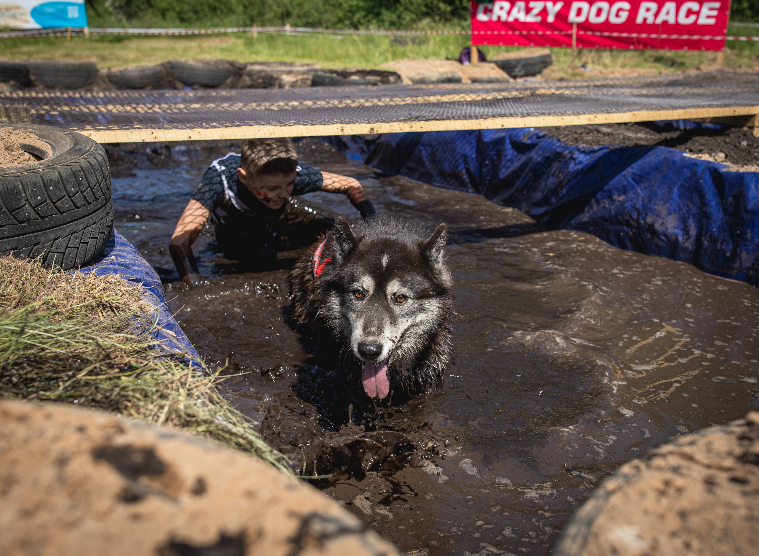 Репортажная съёмка спортивных мероприятий. ESHE_PHOTO Фотограф анималист в Москве и Московской области