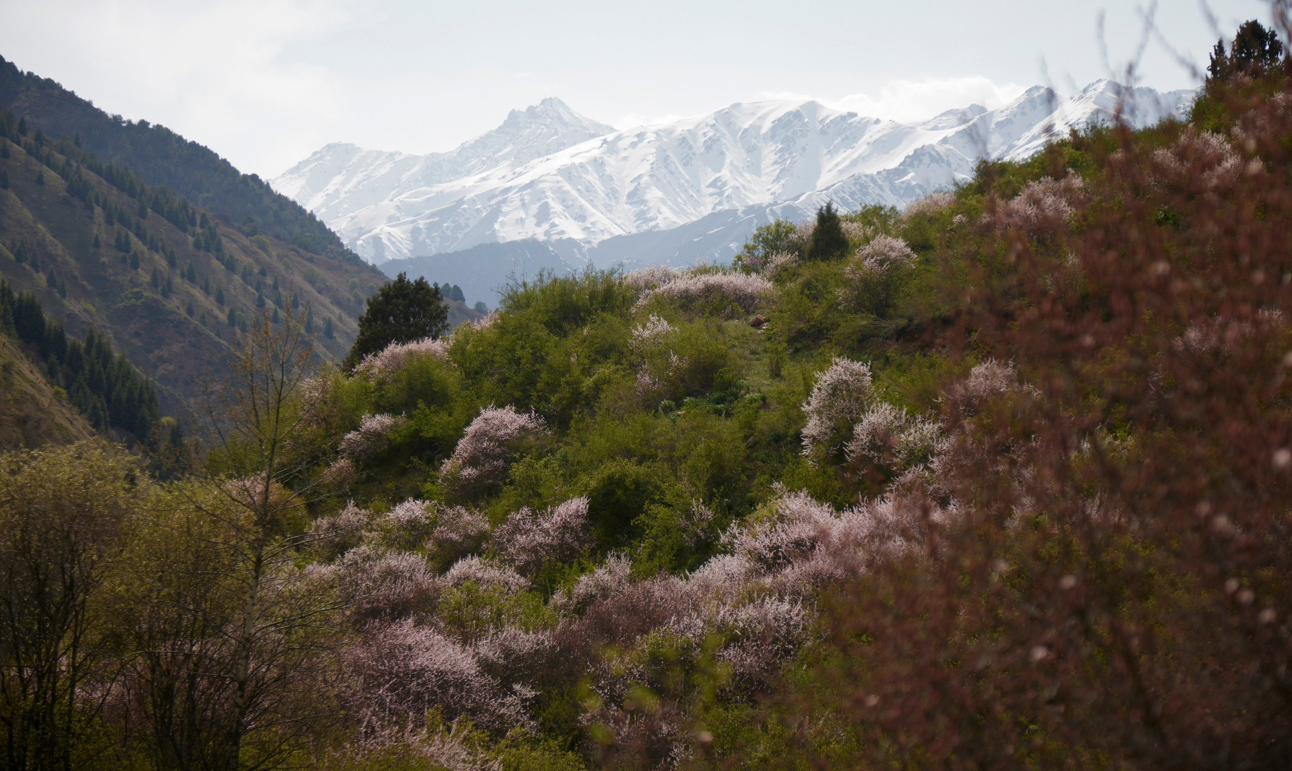 Горы. Репортажный и постановочный Наталья Санникова
