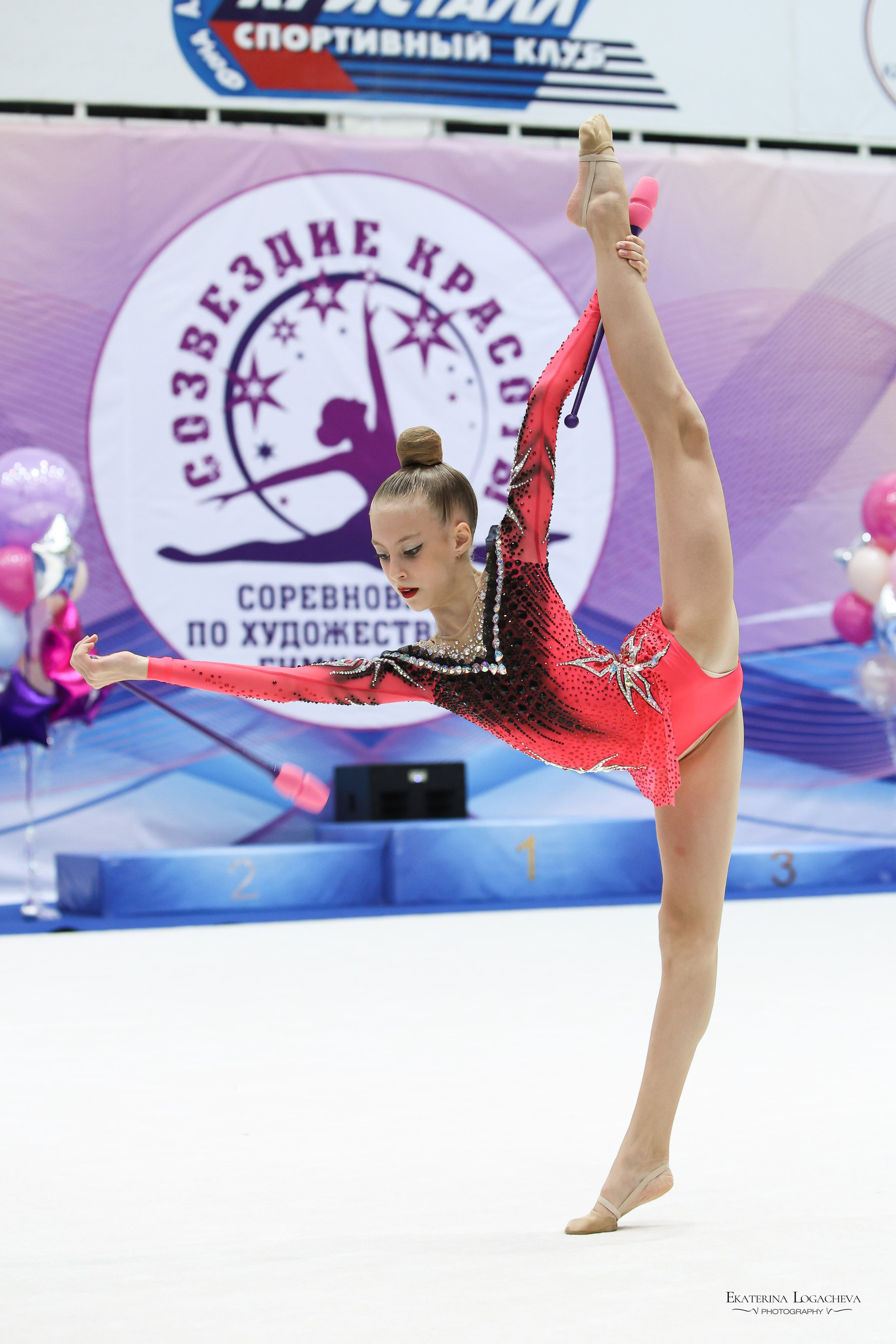 Спорт. Logacheva Ekaterina