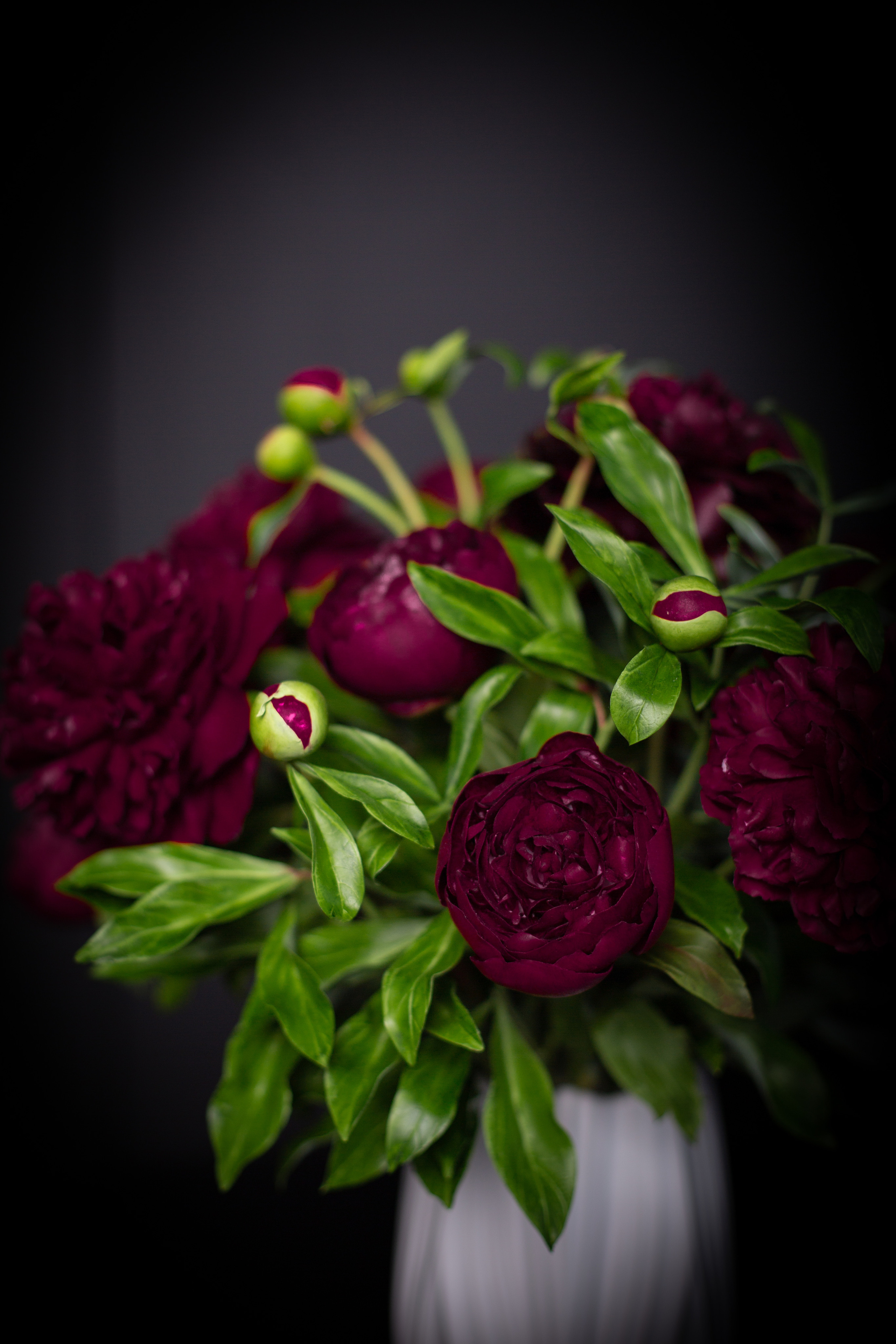 Цветы ручной работы. Анна Епихина фотограф Москва, Балашиха