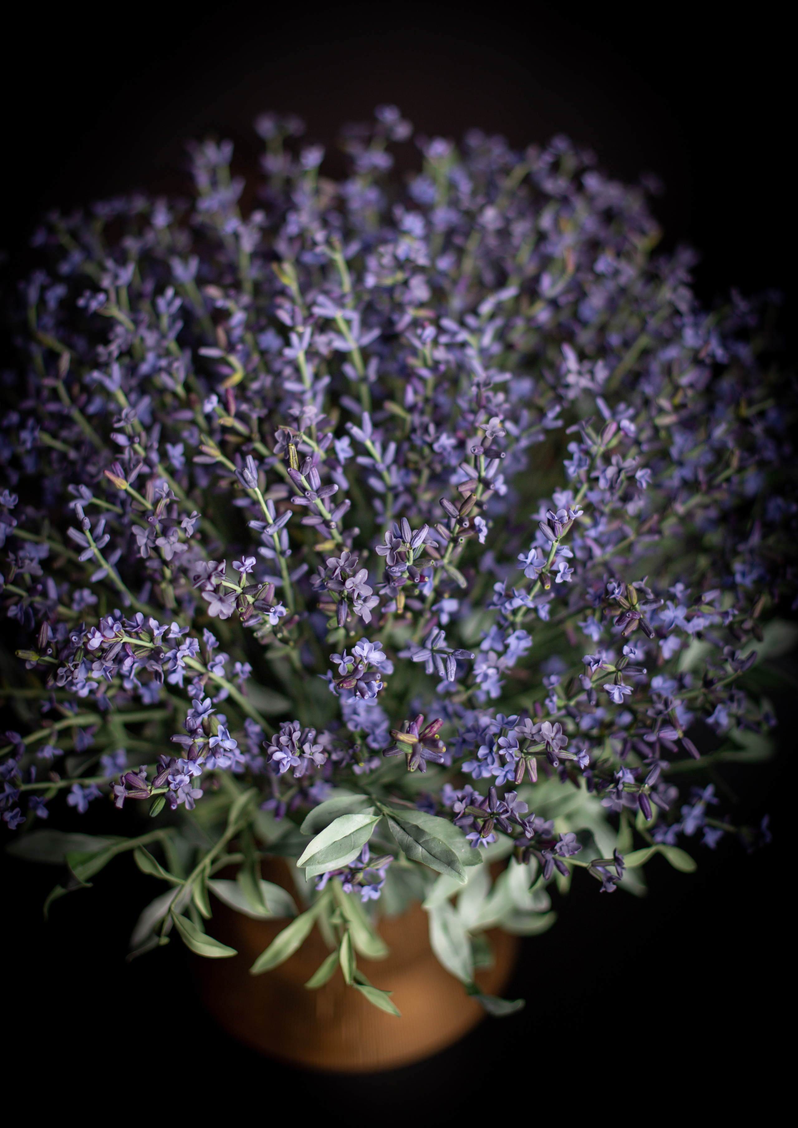 Цветы ручной работы. Анна Епихина фотограф Москва, Балашиха