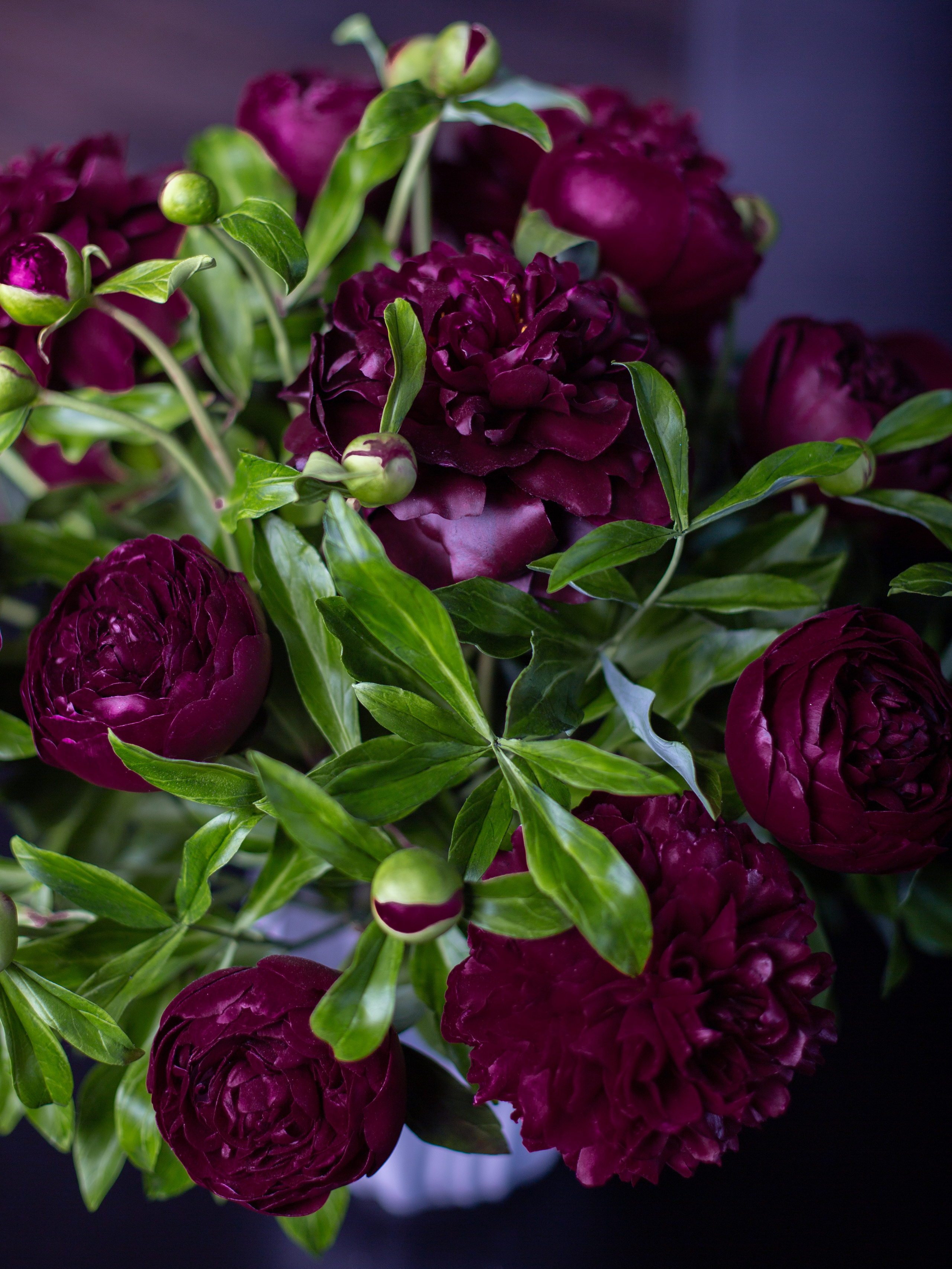 Цветы ручной работы. Анна Епихина фотограф Москва, Балашиха