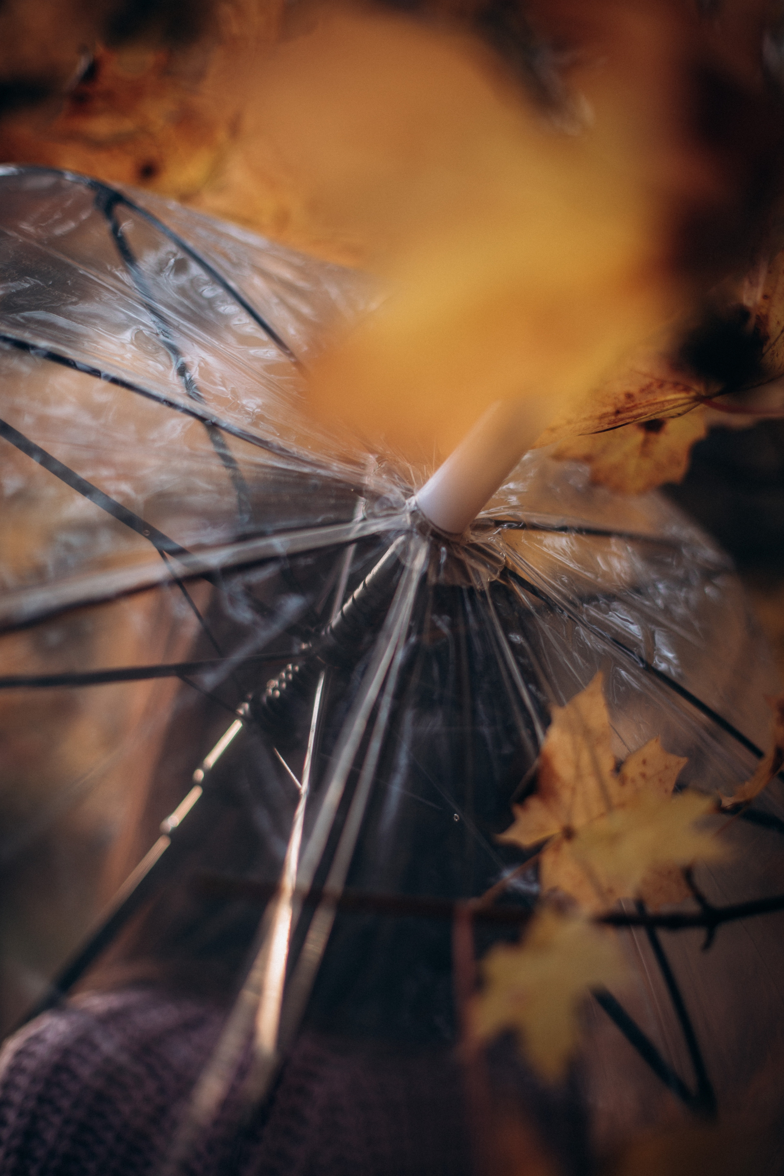 Фото-прогулка. Анна Епихина фотограф Москва, Балашиха